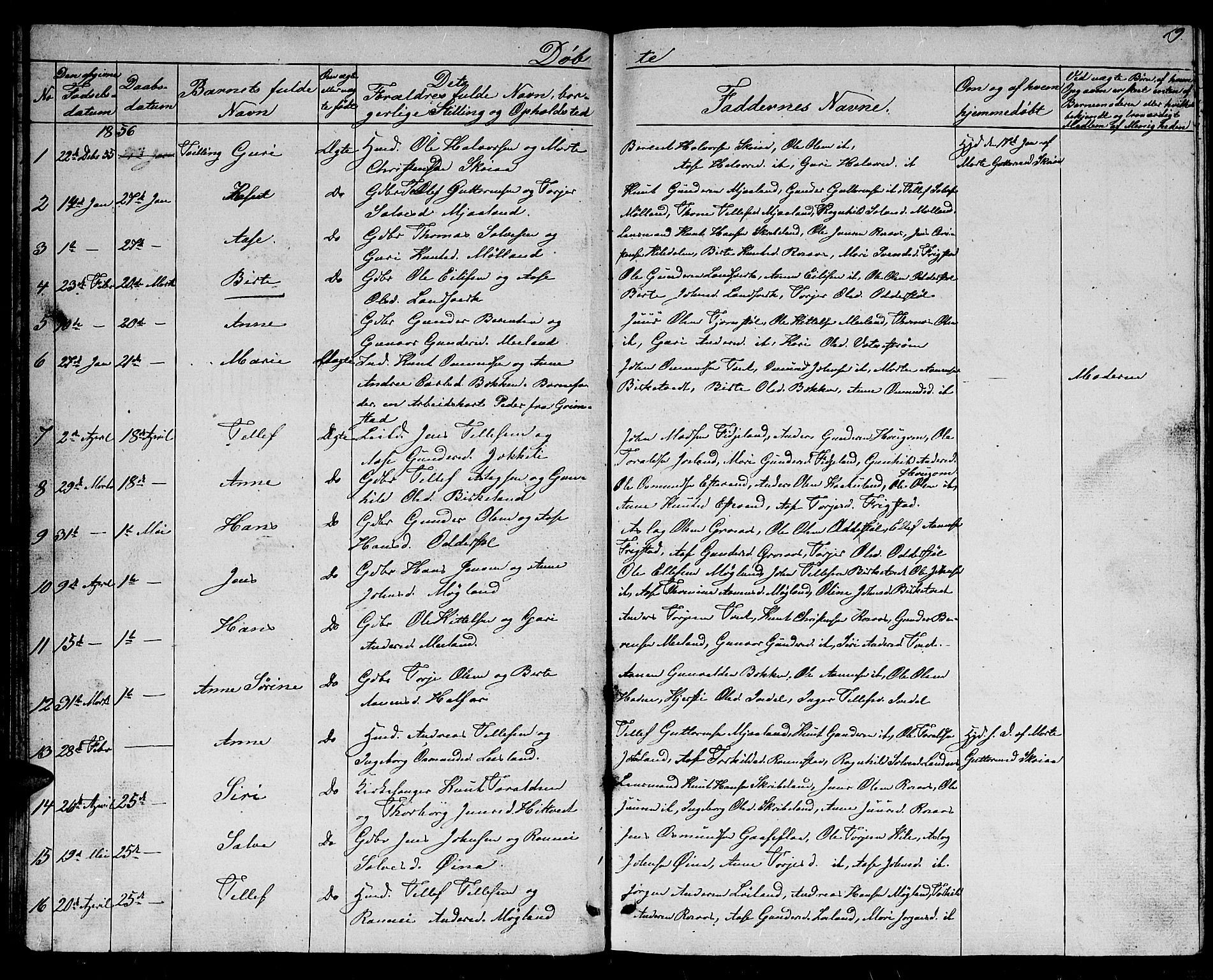 Evje sokneprestkontor, SAK/1111-0008/F/Fb/Fbc/L0002: Parish register (copy) no. B 2, 1849-1876, p. 19