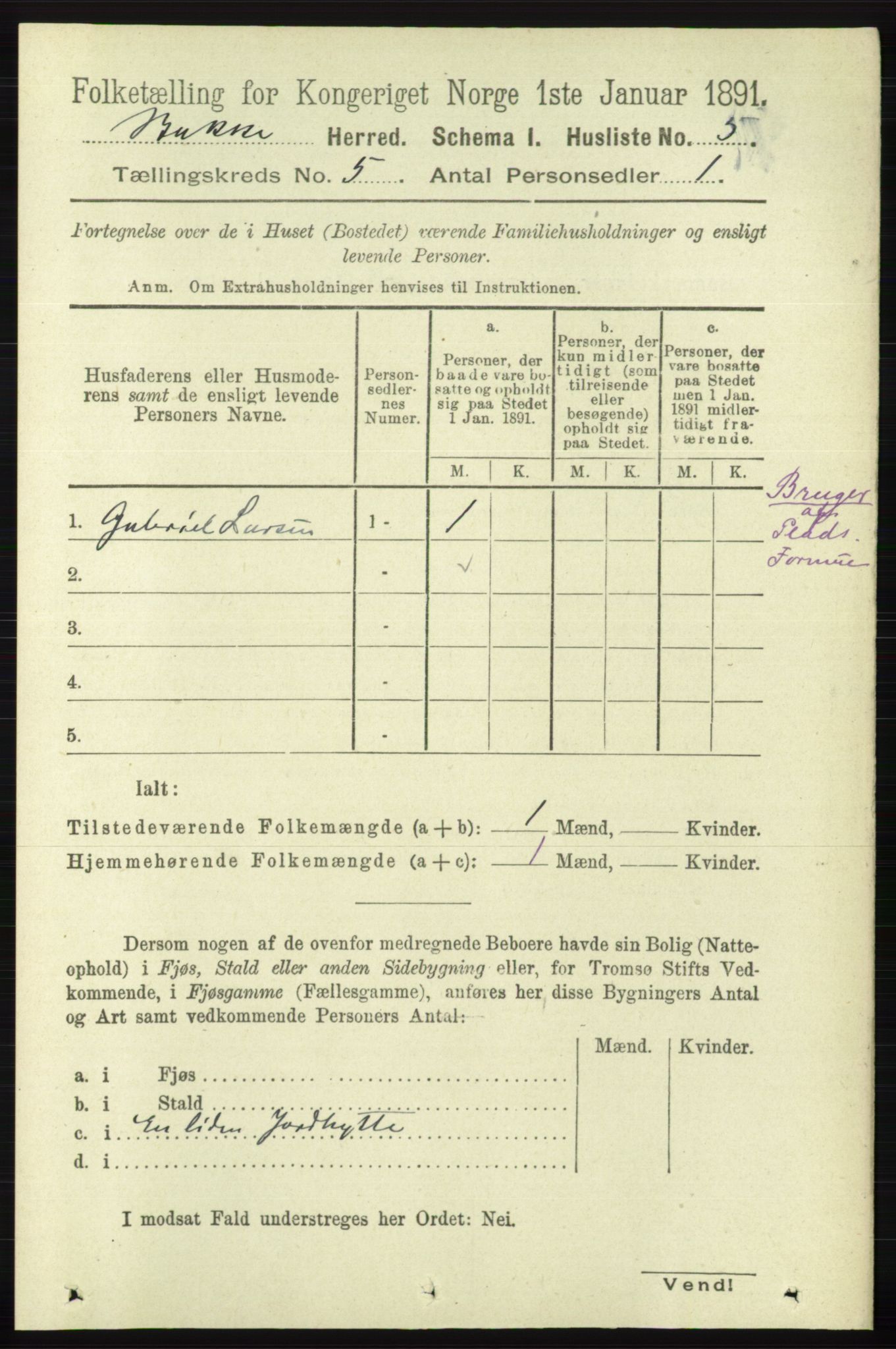 RA, 1891 census for 1045 Bakke, 1891, p. 1067