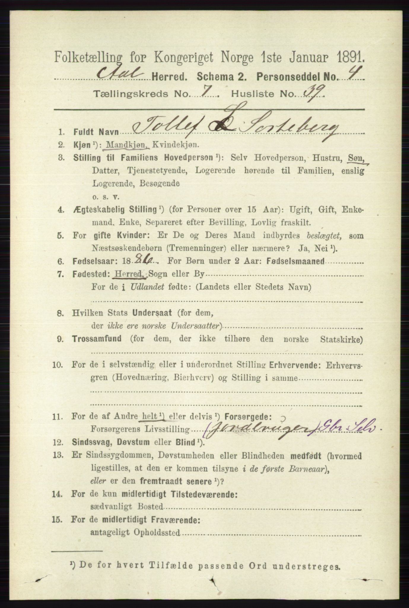RA, 1891 census for 0619 Ål, 1891, p. 1999