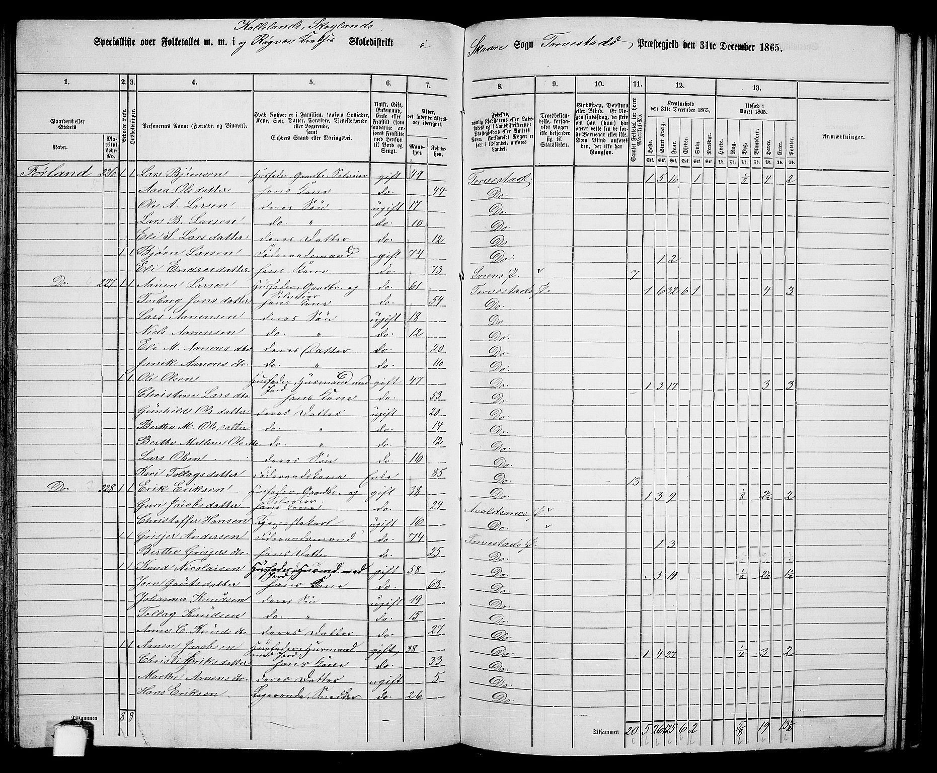 RA, 1865 census for Torvastad/Torvastad, Skåre og Utsira, 1865, p. 118