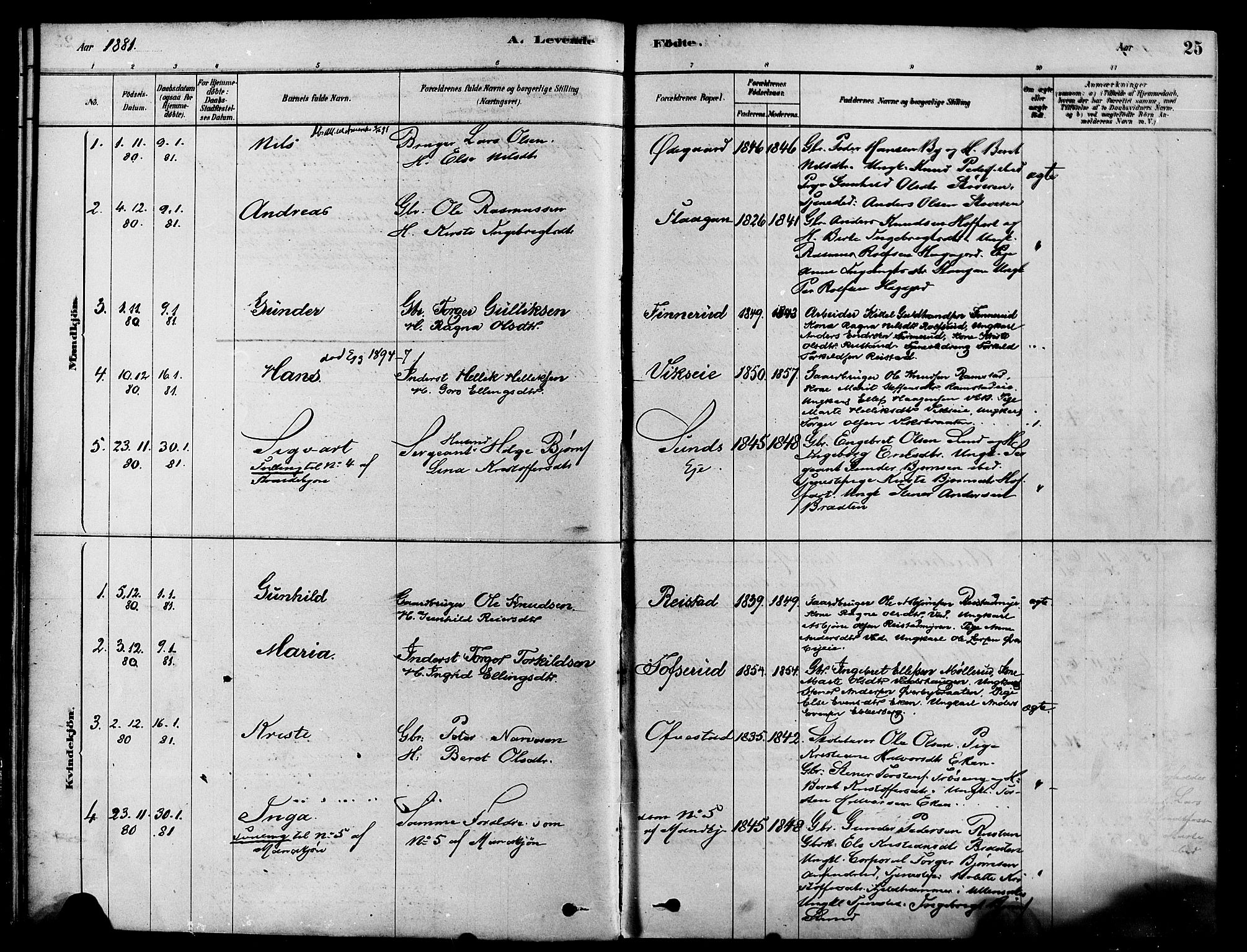 Sigdal kirkebøker, SAKO/A-245/F/Fa/L0011: Parish register (official) no. I 11, 1879-1887, p. 25