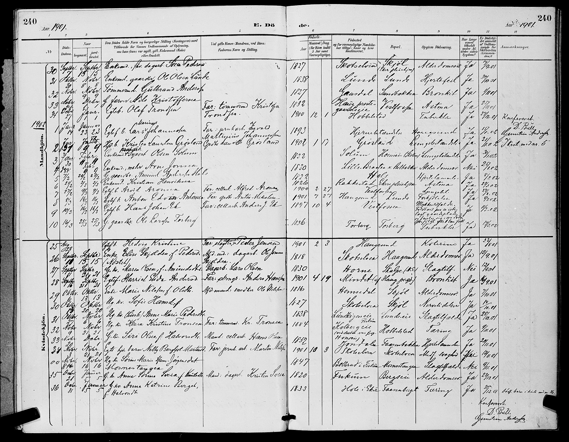 Eiker kirkebøker, SAKO/A-4/G/Ga/L0007: Parish register (copy) no. I 7, 1893-1902, p. 240