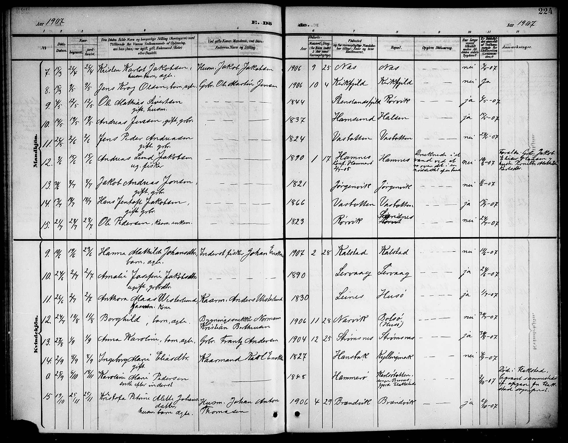 Ministerialprotokoller, klokkerbøker og fødselsregistre - Nordland, AV/SAT-A-1459/859/L0860: Parish register (copy) no. 859C06, 1899-1909, p. 224