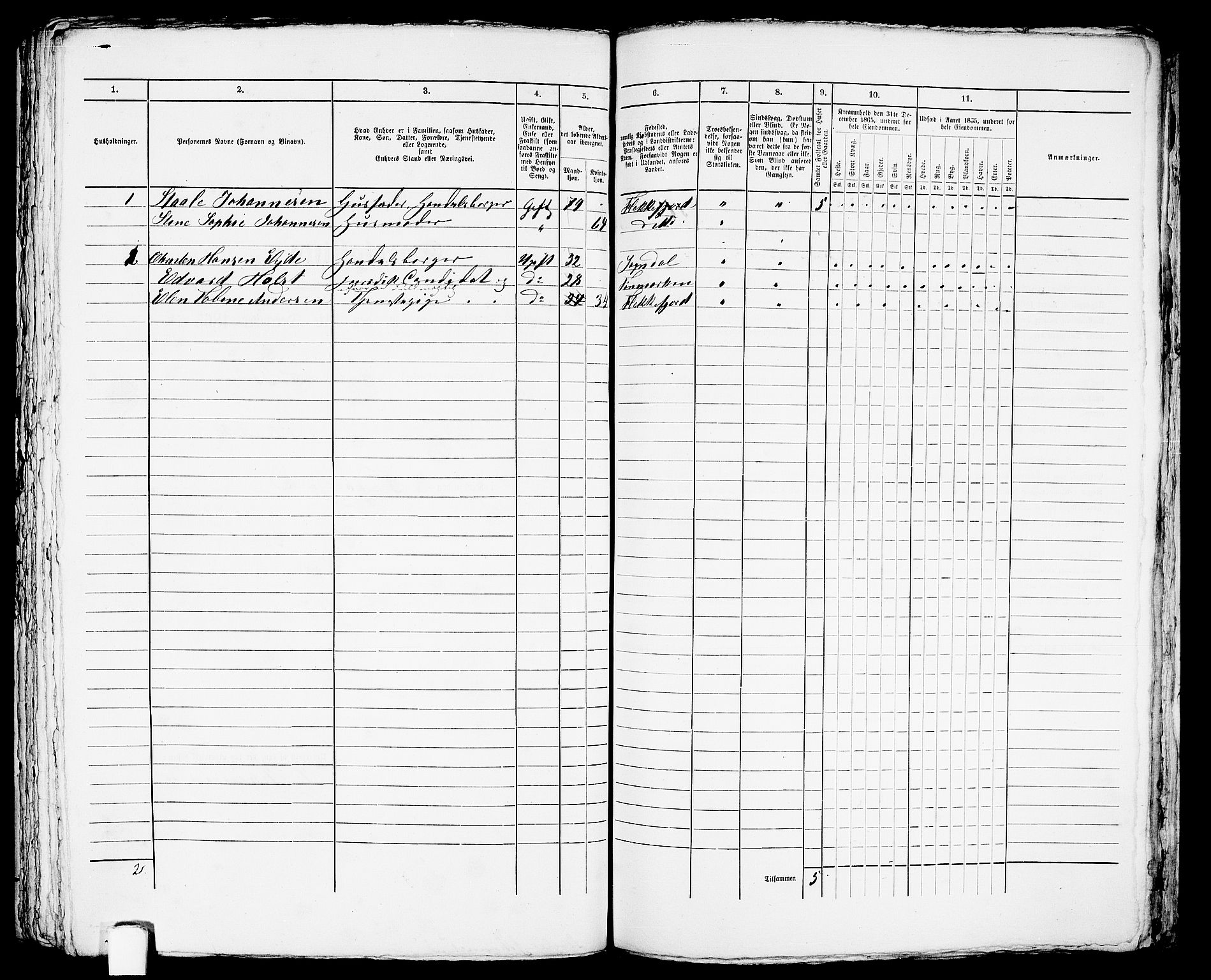 RA, 1865 census for Flekkefjord/Flekkefjord, 1865, p. 411