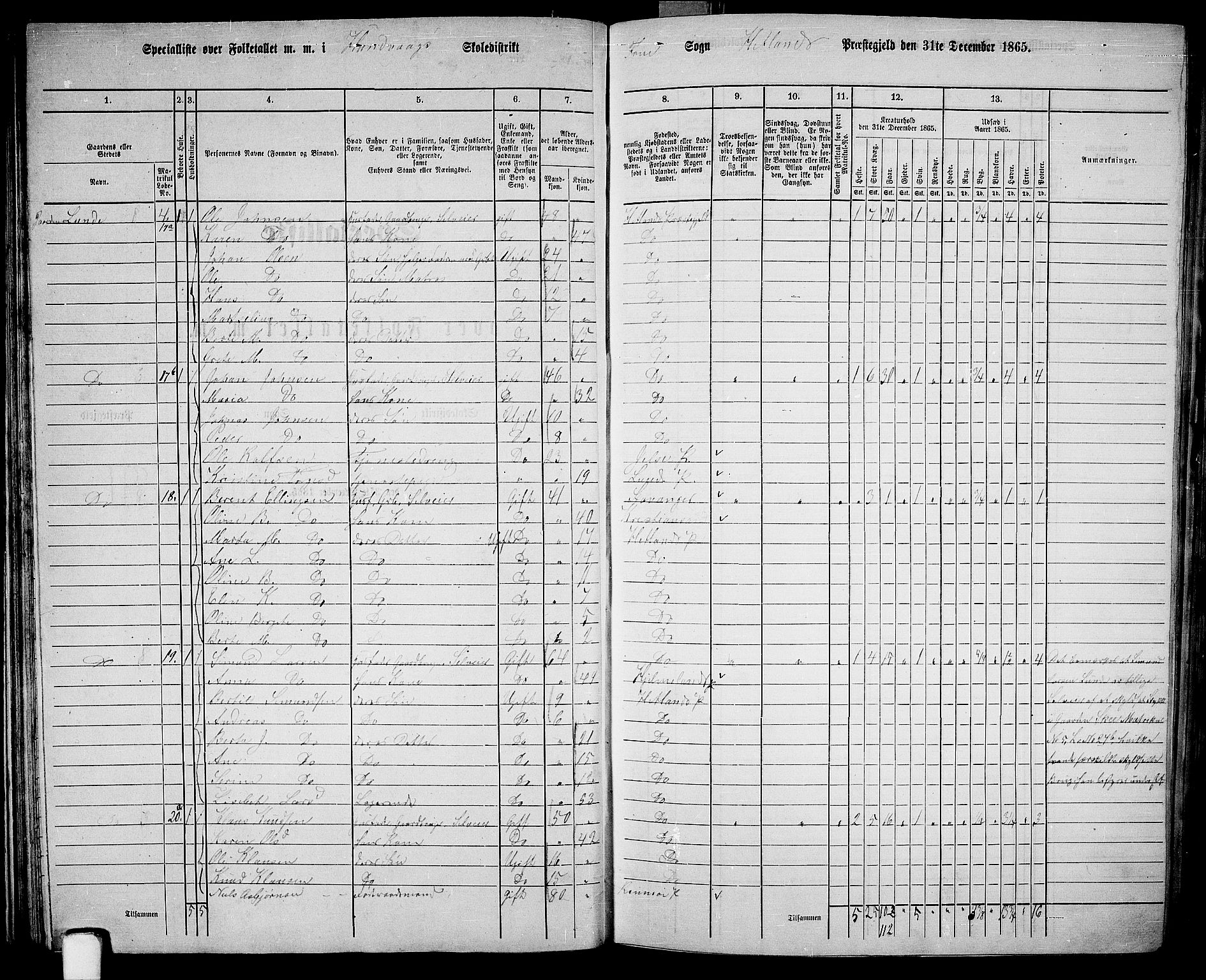 RA, 1865 census for Hetland, 1865, p. 38