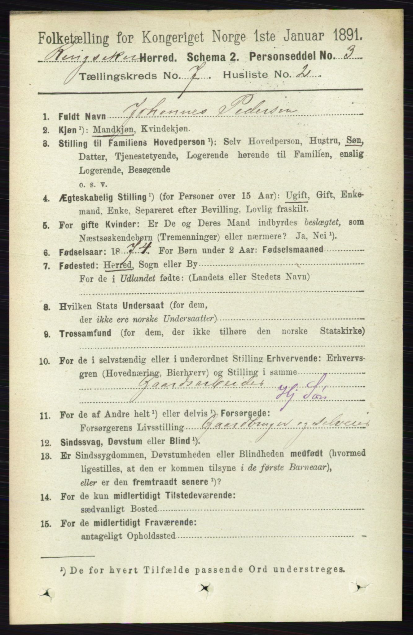 RA, 1891 census for 0412 Ringsaker, 1891, p. 3884