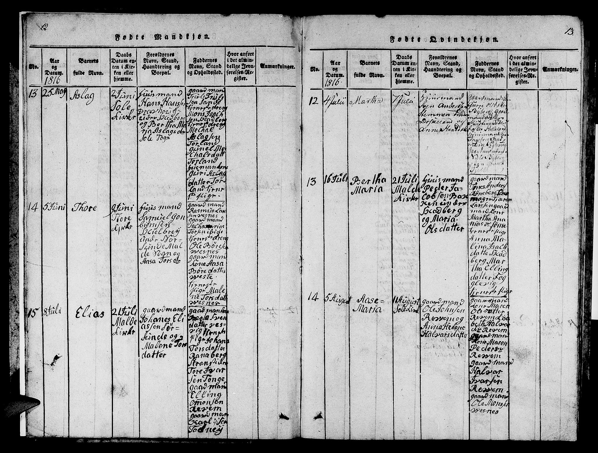 Håland sokneprestkontor, AV/SAST-A-101802/001/30BB/L0001: Parish register (copy) no. B 1, 1815-1845, p. 12-13