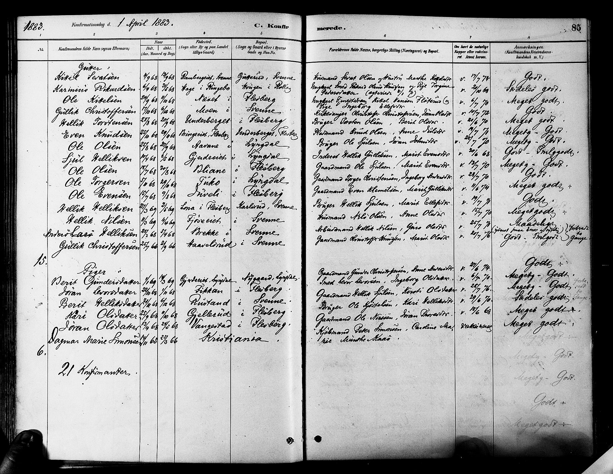 Flesberg kirkebøker, SAKO/A-18/F/Fa/L0008: Parish register (official) no. I 8, 1879-1899, p. 85
