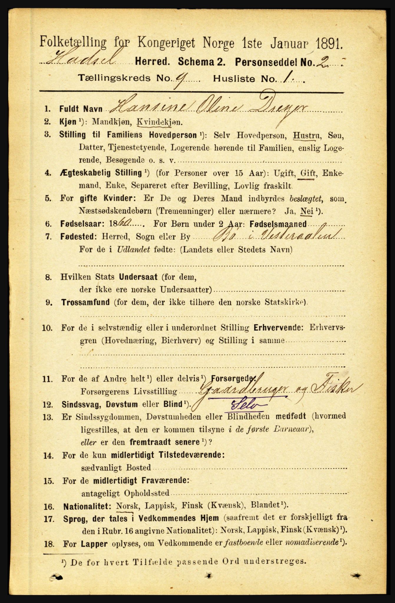 RA, 1891 census for 1866 Hadsel, 1891, p. 3918