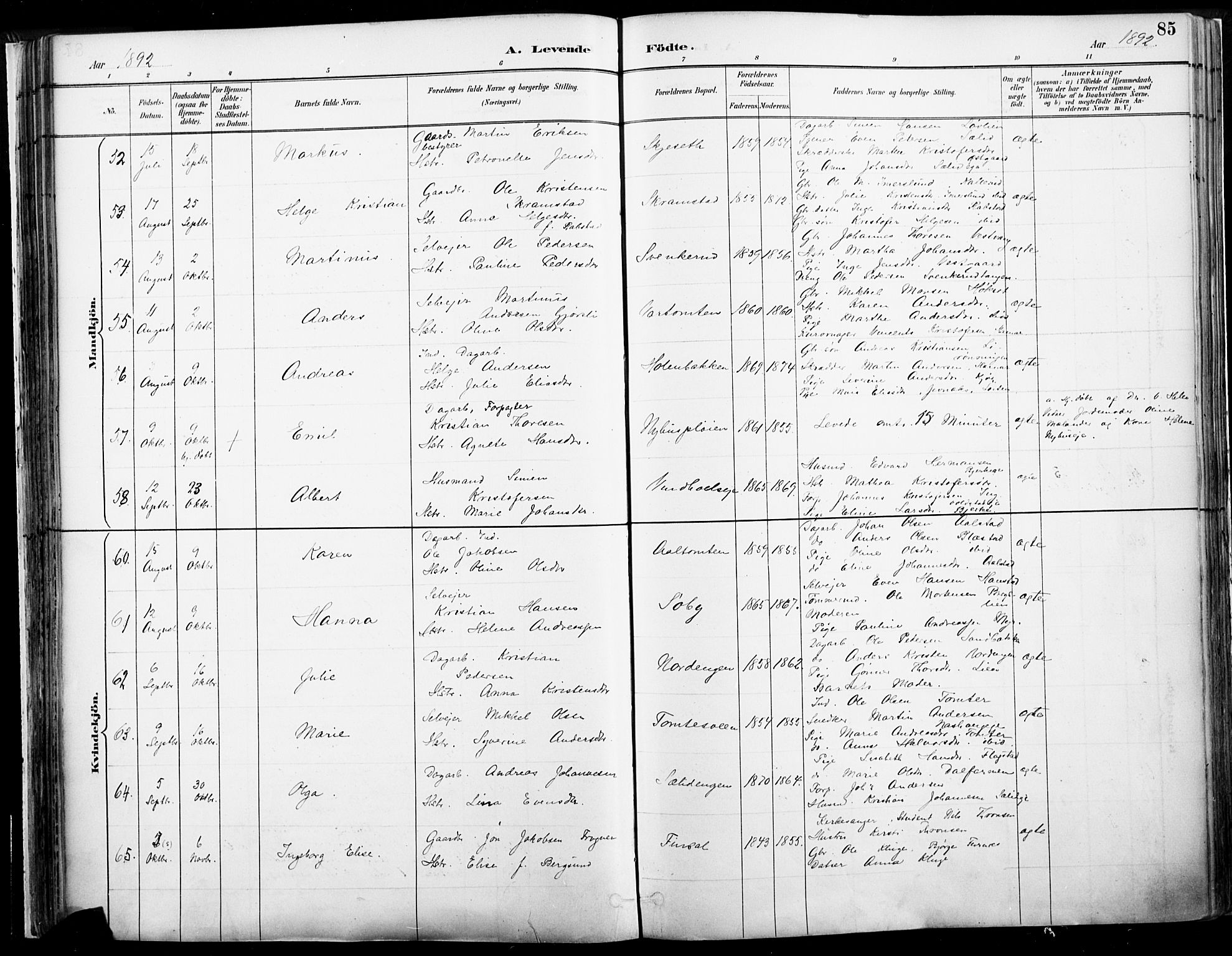 Vang prestekontor, Hedmark, AV/SAH-PREST-008/H/Ha/Haa/L0019A: Parish register (official) no. 19, 1886-1900, p. 85