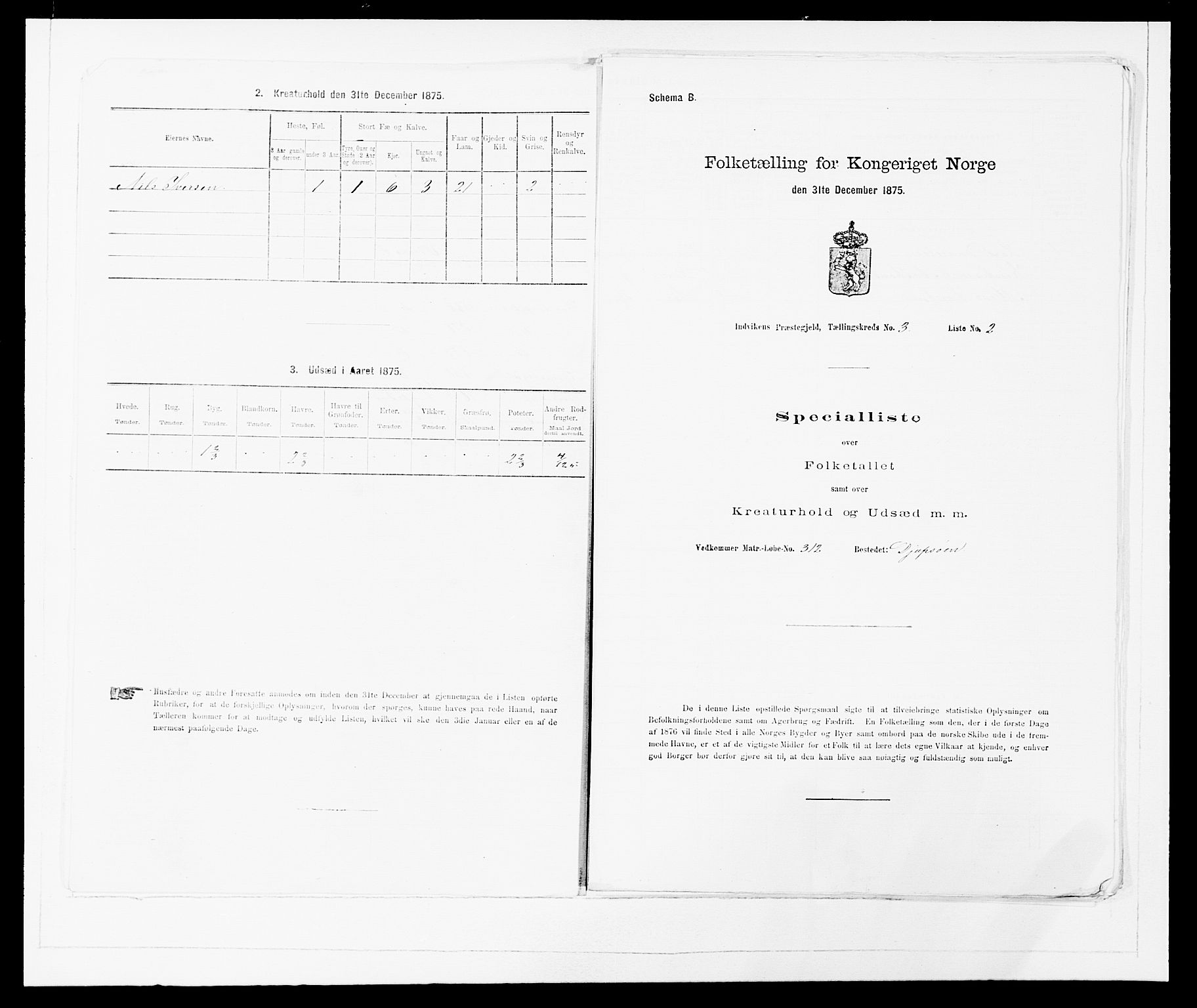 SAB, 1875 Census for 1447P Innvik, 1875, p. 293