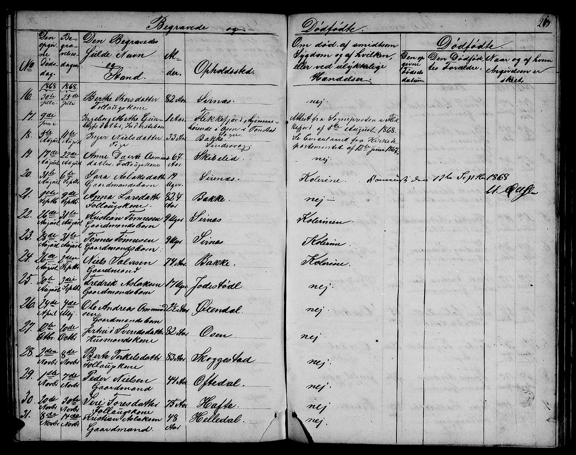 Bakke sokneprestkontor, AV/SAK-1111-0002/F/Fb/Fba/L0001: Parish register (copy) no. B 1, 1849-1879, p. 213