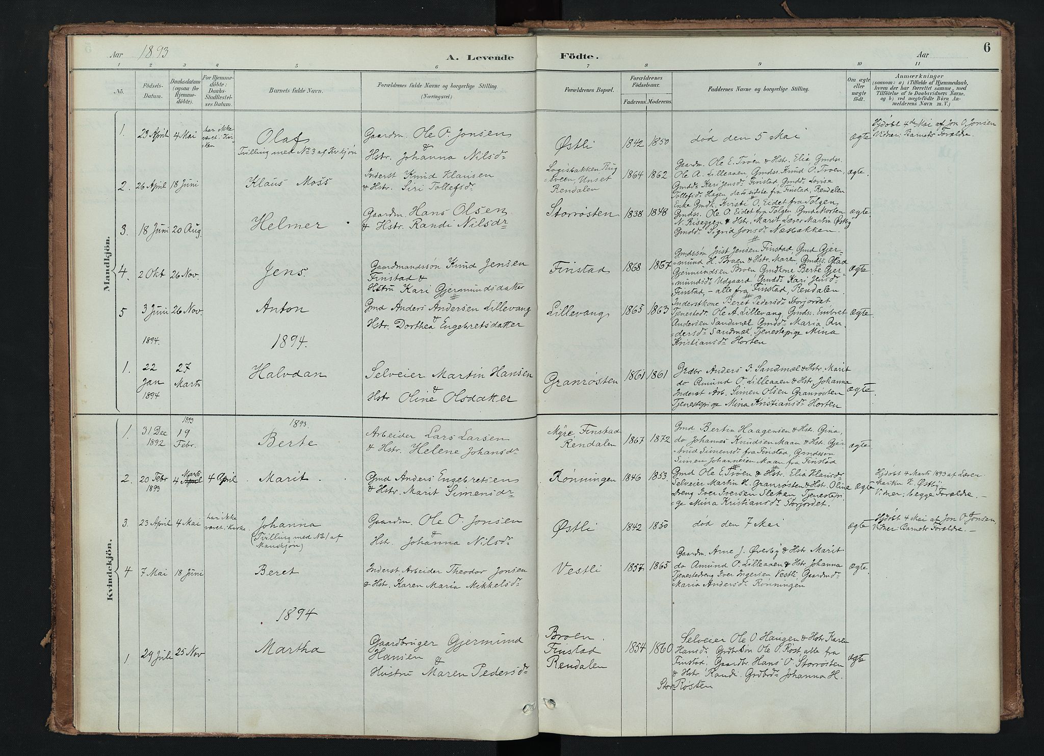 Tynset prestekontor, SAH/PREST-058/H/Ha/Haa/L0024: Parish register (official) no. 24, 1885-1916, p. 6