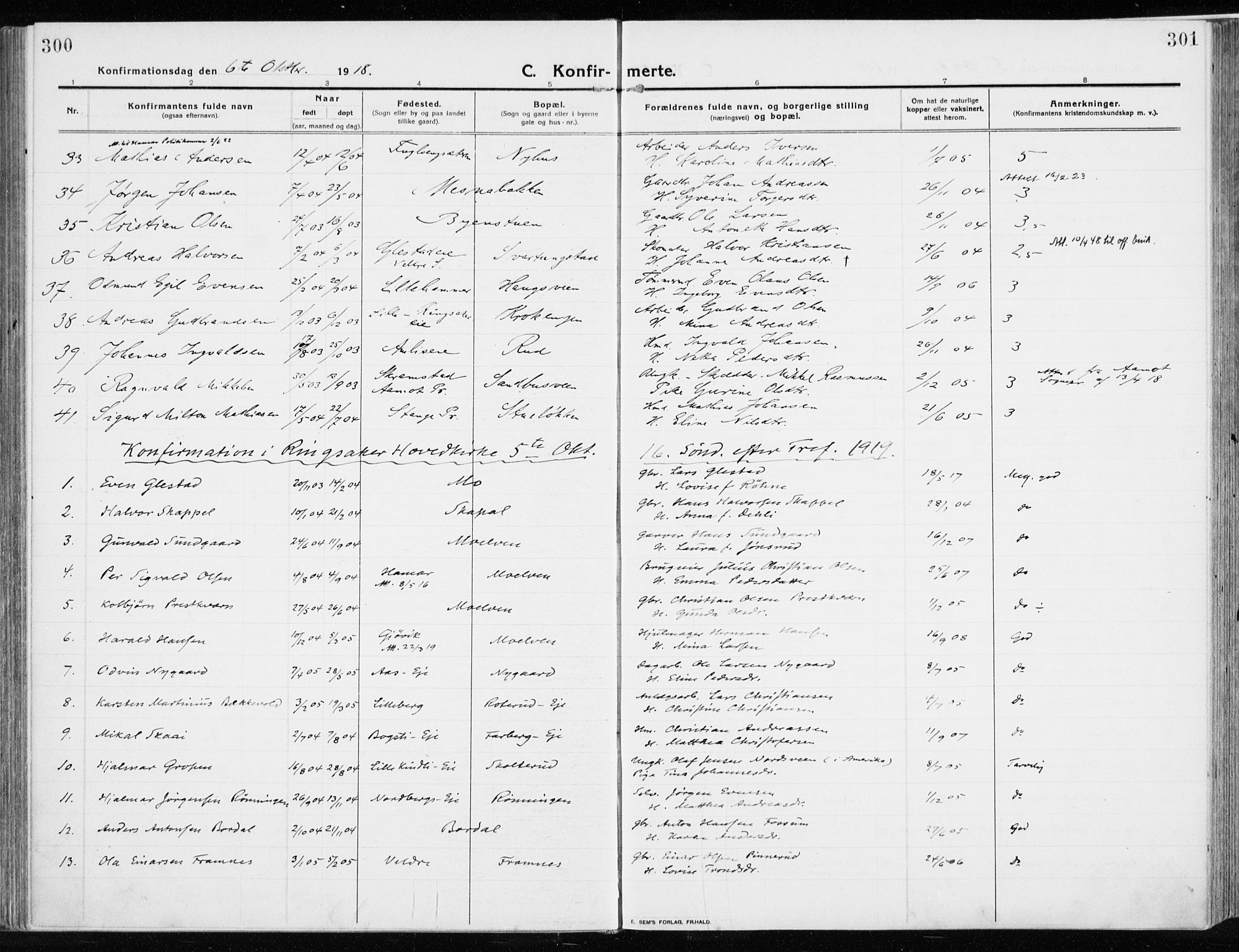 Ringsaker prestekontor, AV/SAH-PREST-014/K/Ka/L0020: Parish register (official) no. 20, 1913-1922, p. 300-301