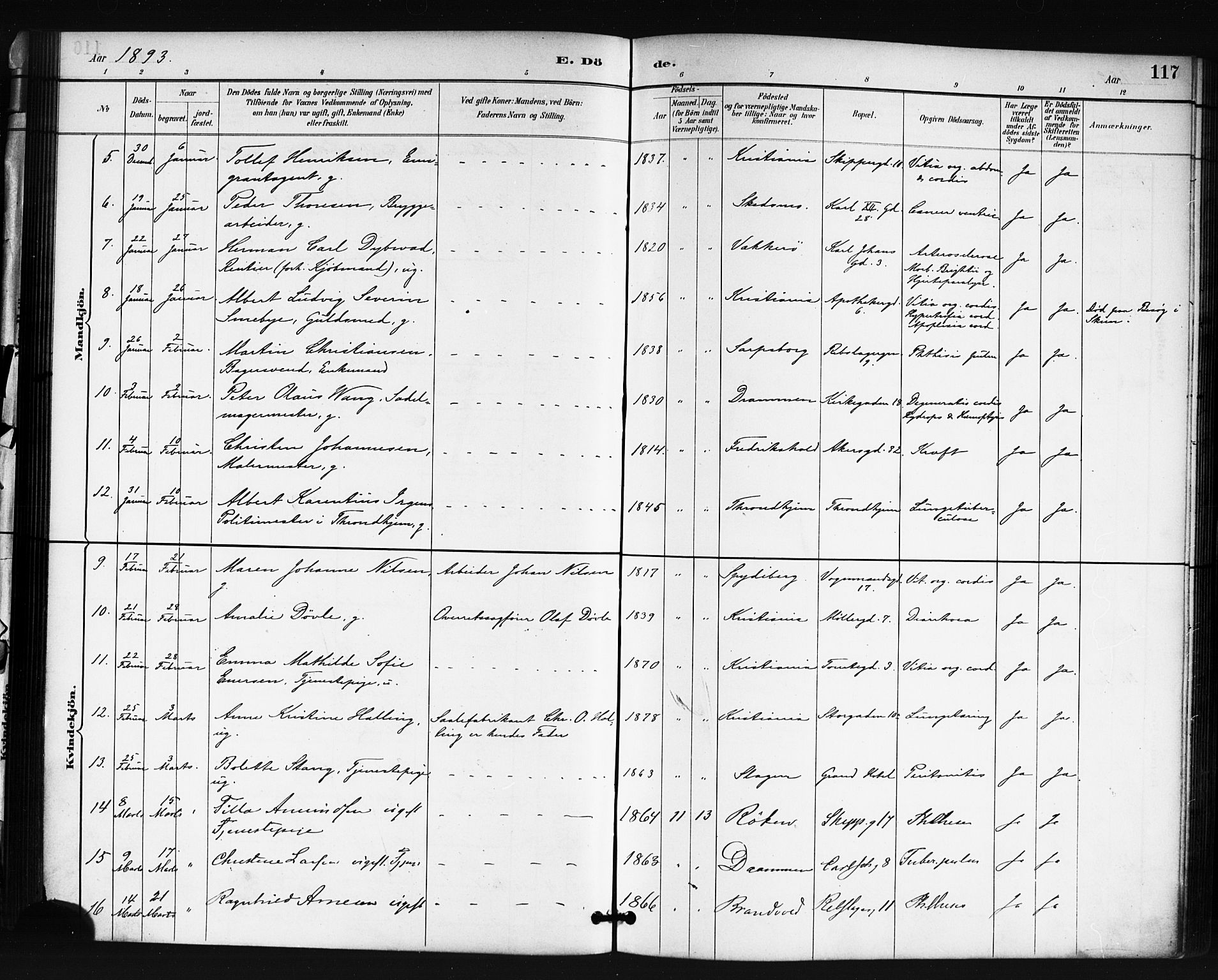 Oslo domkirke Kirkebøker, AV/SAO-A-10752/F/Fa/L0035: Parish register (official) no. 35, 1885-1901, p. 117