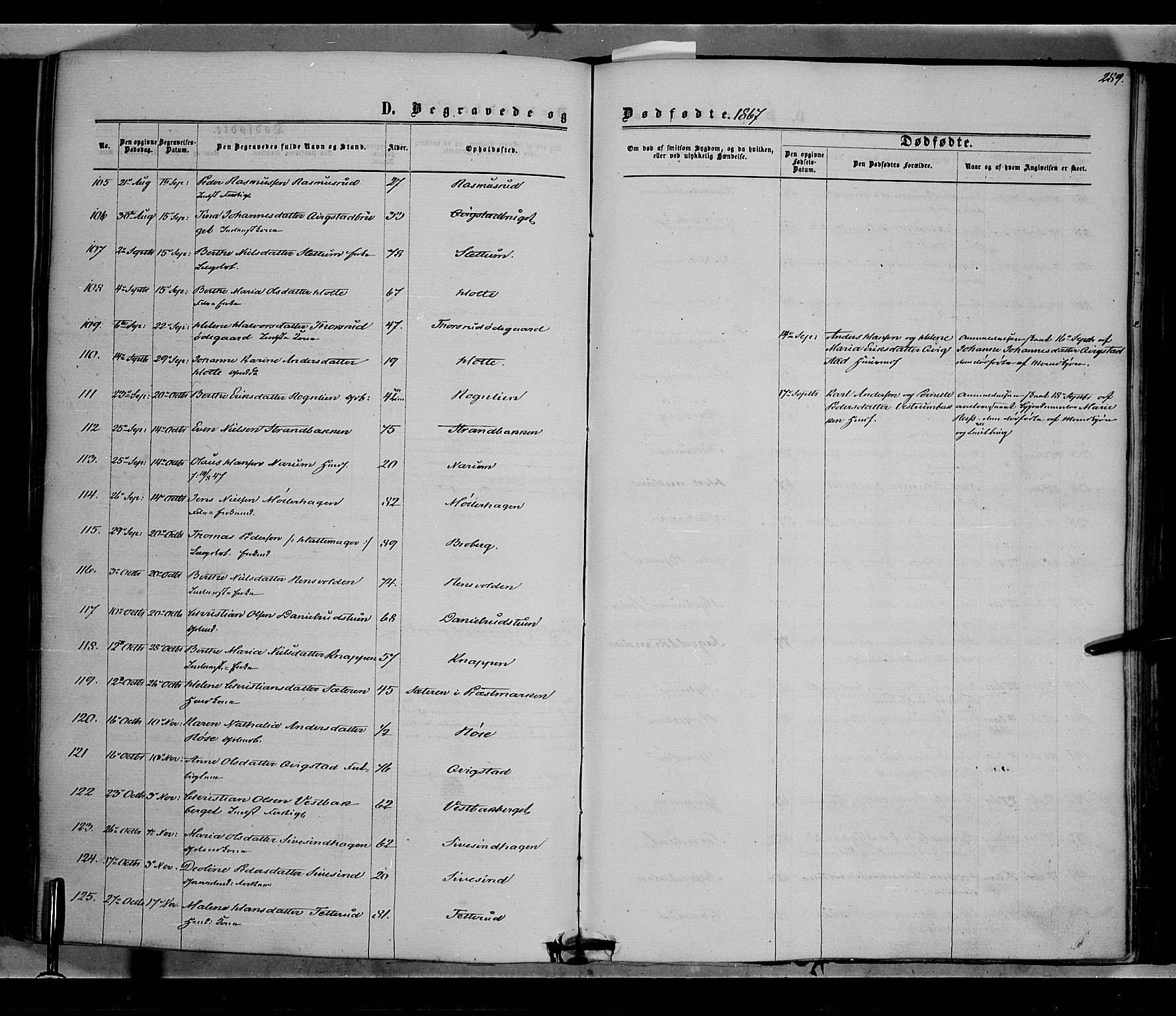 Vestre Toten prestekontor, AV/SAH-PREST-108/H/Ha/Haa/L0007: Parish register (official) no. 7, 1862-1869, p. 289