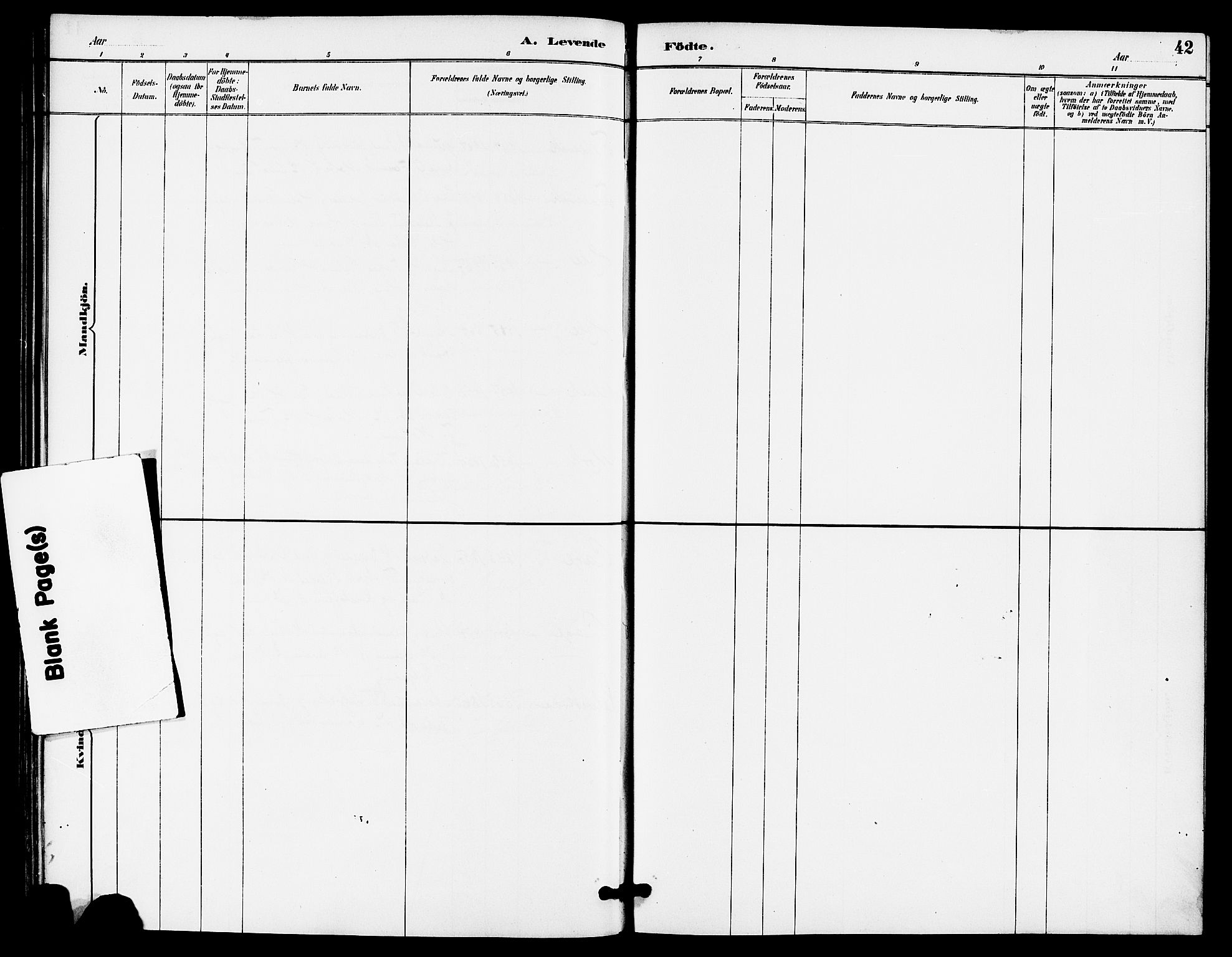 Høgsfjord sokneprestkontor, AV/SAST-A-101624/H/Ha/Haa/L0005: Parish register (official) no. A 5, 1885-1897, p. 42