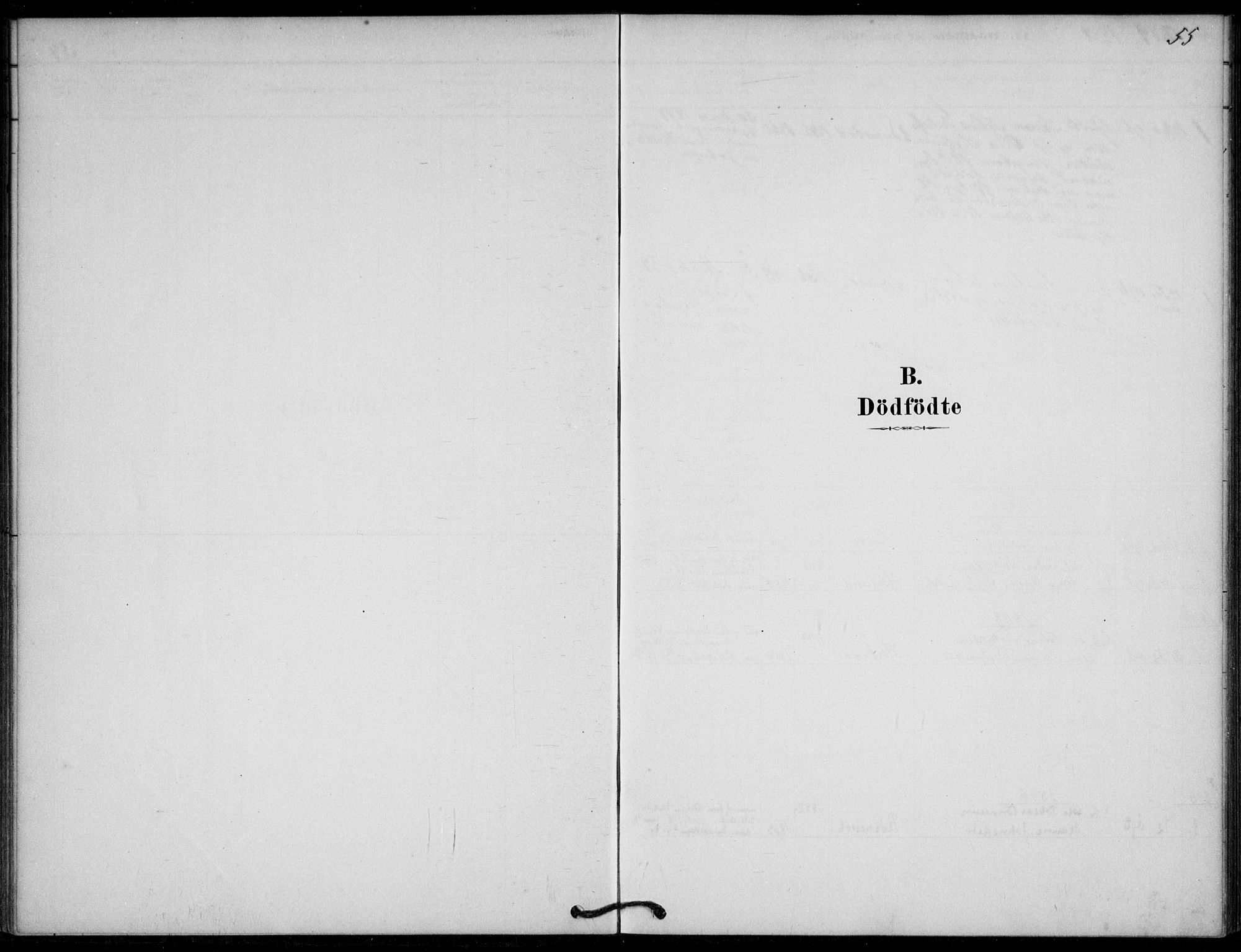 Lyngdal sokneprestkontor, SAK/1111-0029/F/Fa/Fab/L0003: Parish register (official) no. A 3, 1878-1903, p. 55