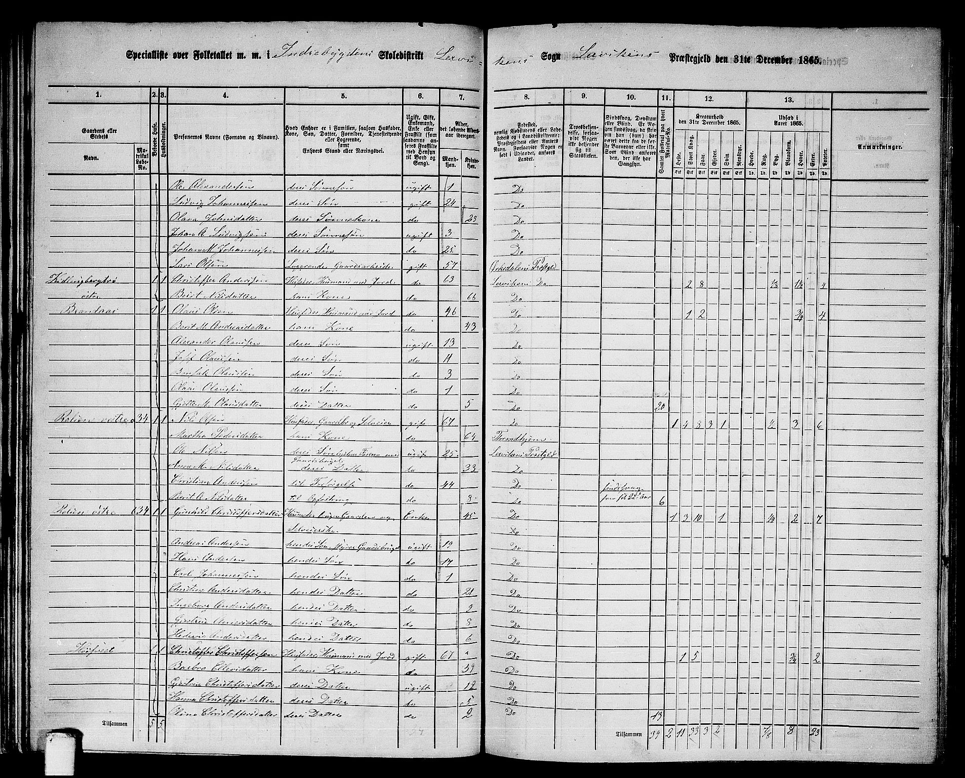 RA, 1865 census for Leksvik, 1865, p. 47