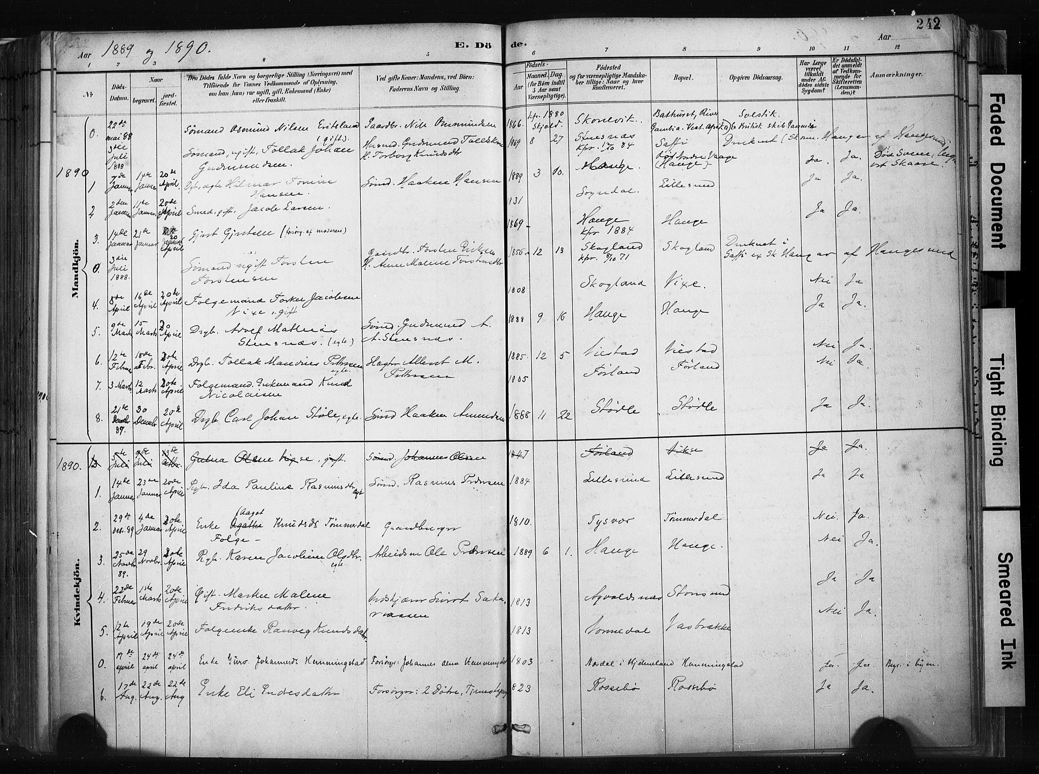 Haugesund sokneprestkontor, SAST/A -101863/H/Ha/Haa/L0004: Parish register (official) no. A 4, 1886-1908, p. 242