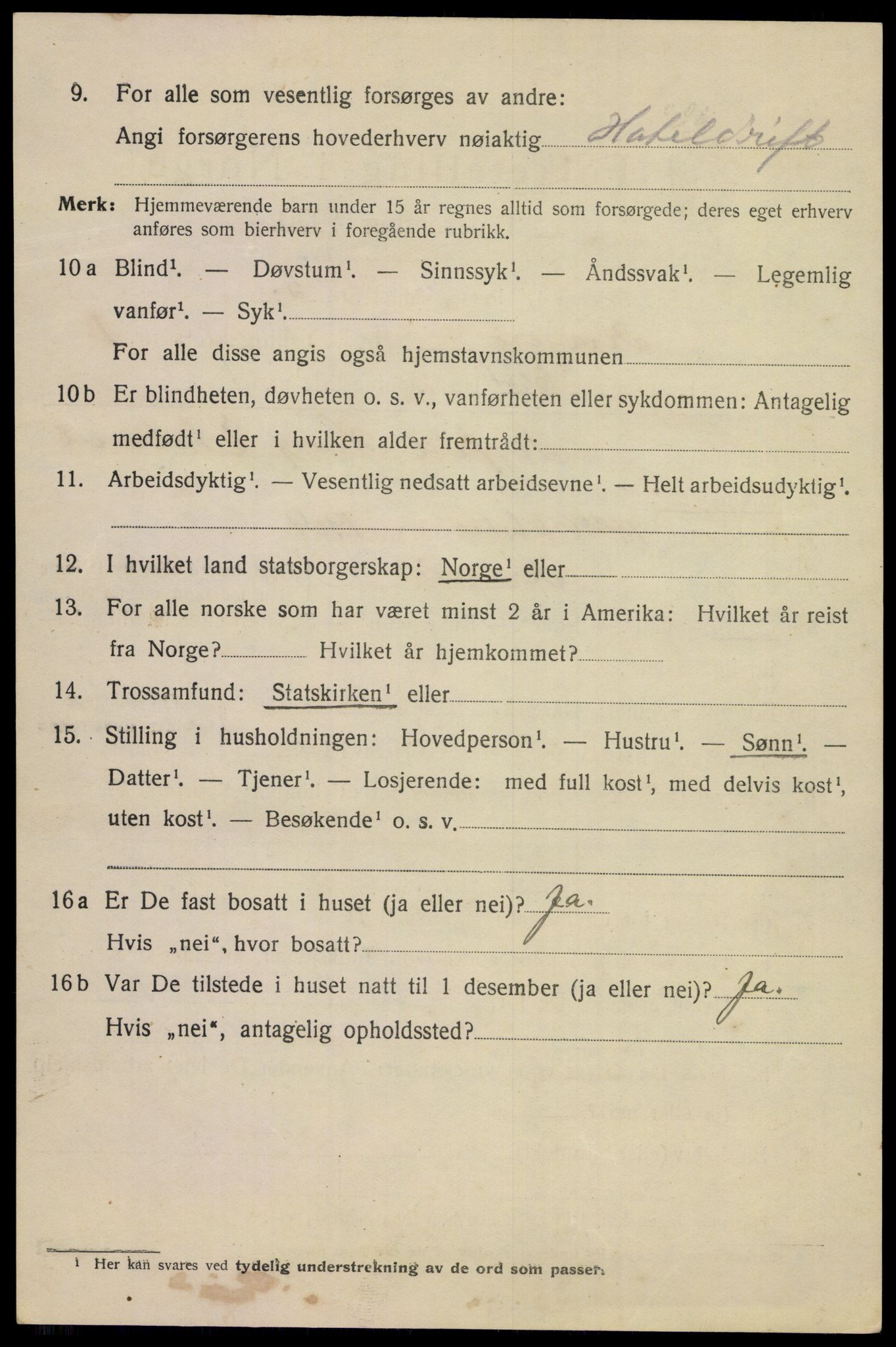 SAKO, 1920 census for Kragerø, 1920, p. 4974
