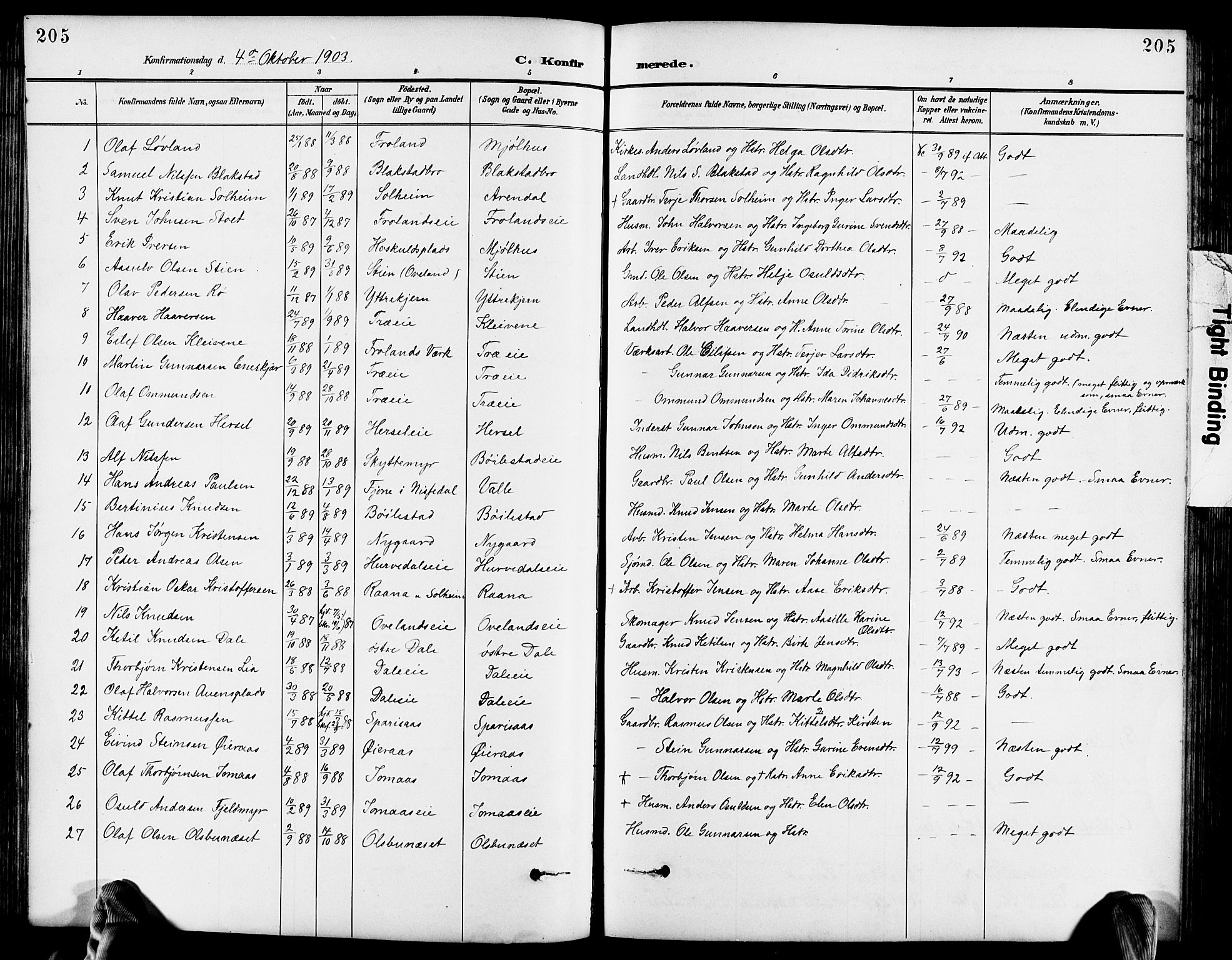 Froland sokneprestkontor, SAK/1111-0013/F/Fb/L0010: Parish register (copy) no. B 10, 1893-1920, p. 205