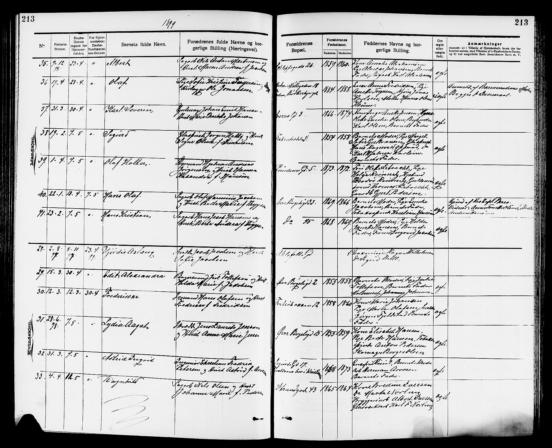 Larvik kirkebøker, AV/SAKO-A-352/G/Ga/L0005: Parish register (copy) no. I 5, 1888-1909, p. 213