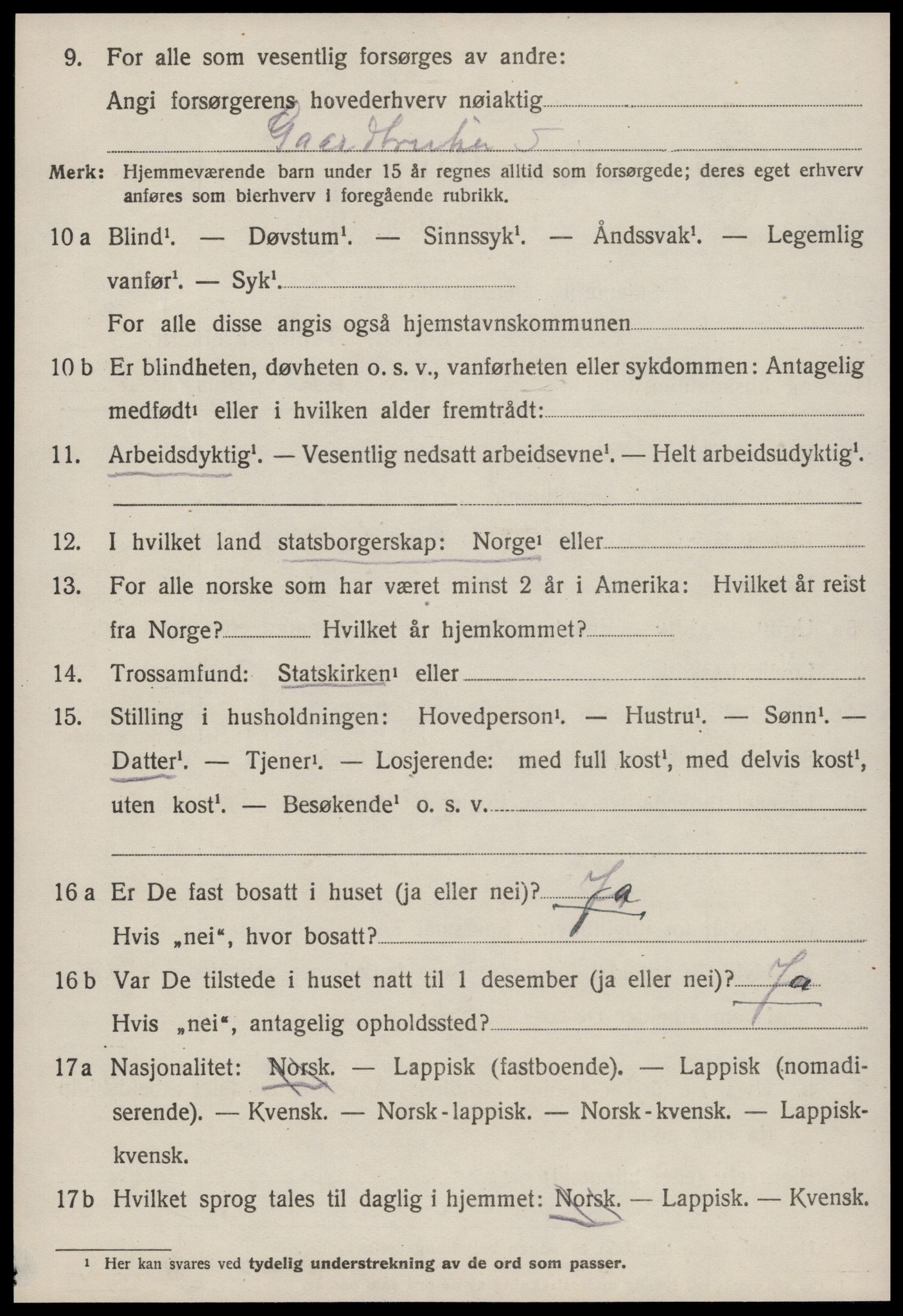 SAT, 1920 census for Strinda, 1920, p. 20255