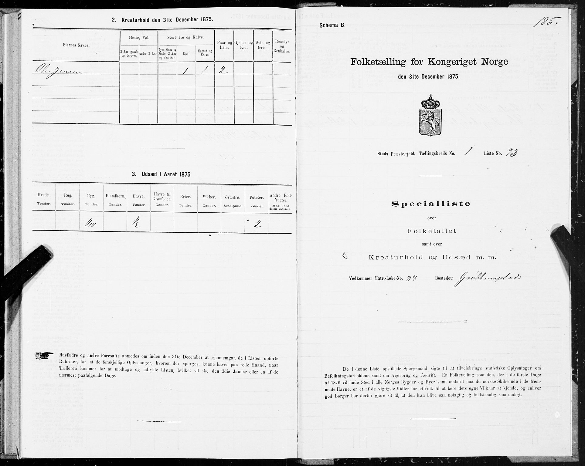 SAT, 1875 census for 1734P Stod, 1875, p. 1185