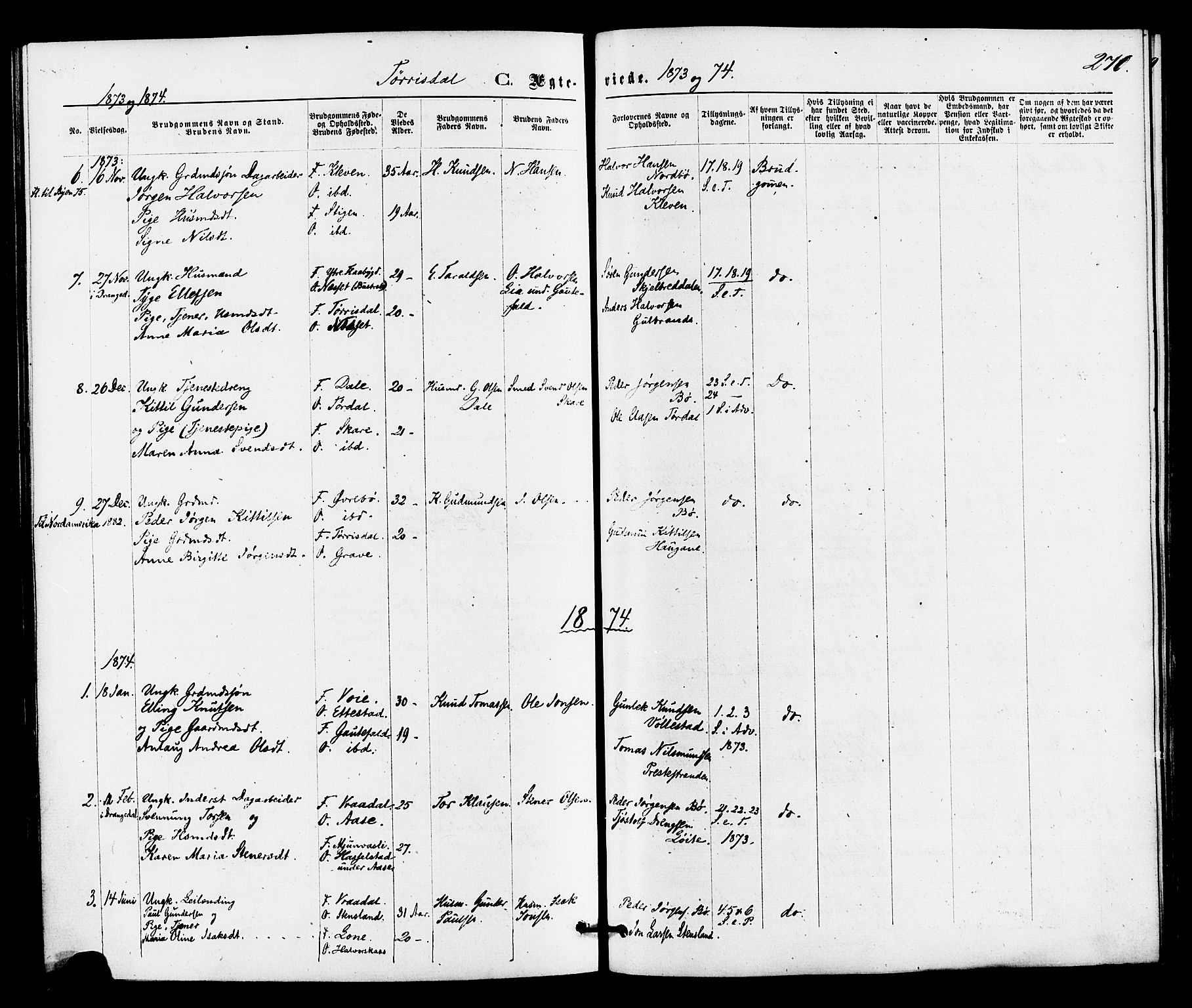 Drangedal kirkebøker, SAKO/A-258/F/Fa/L0009: Parish register (official) no. 9 /2, 1872-1884, p. 270