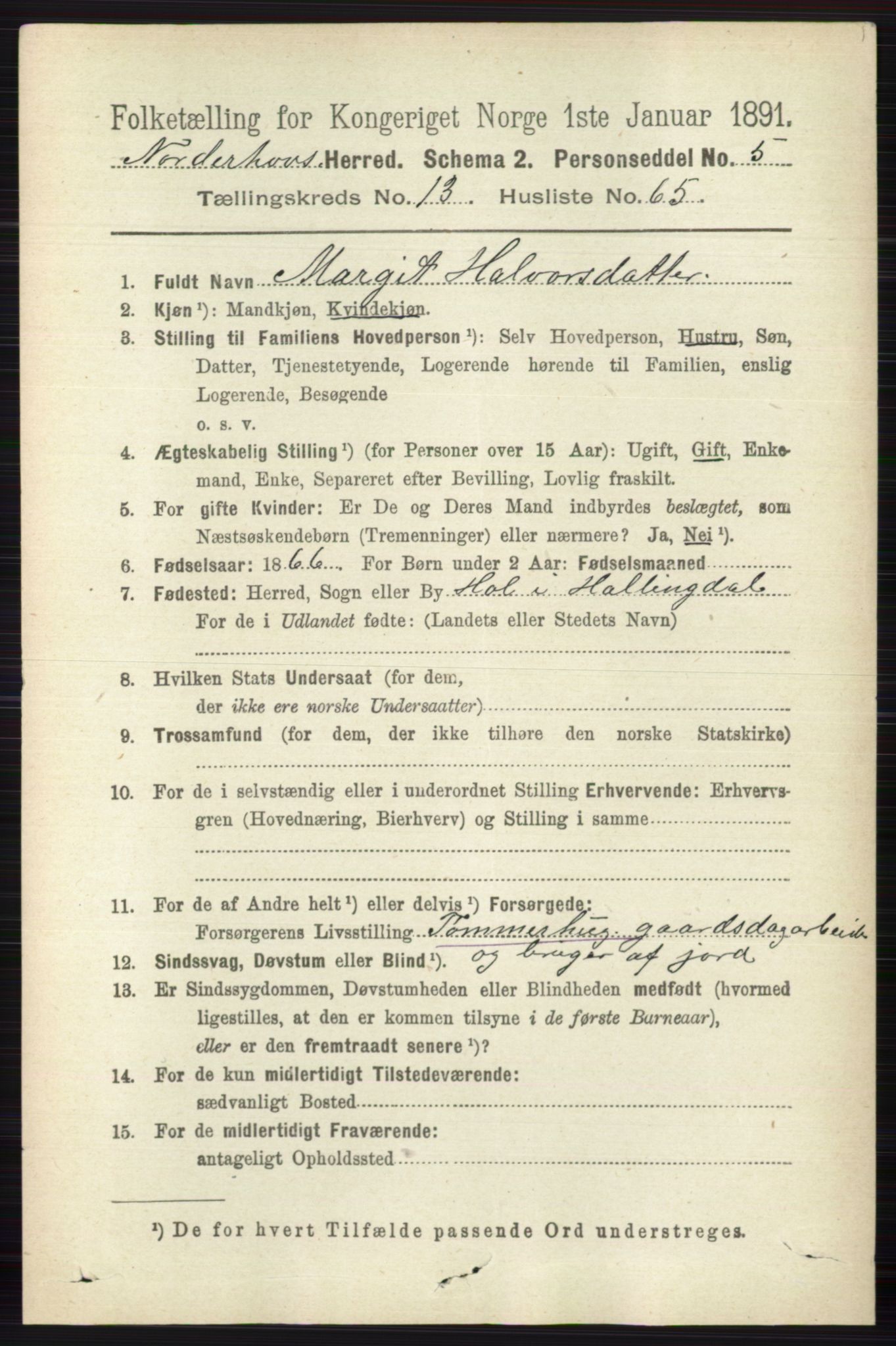 RA, 1891 census for 0613 Norderhov, 1891, p. 9291