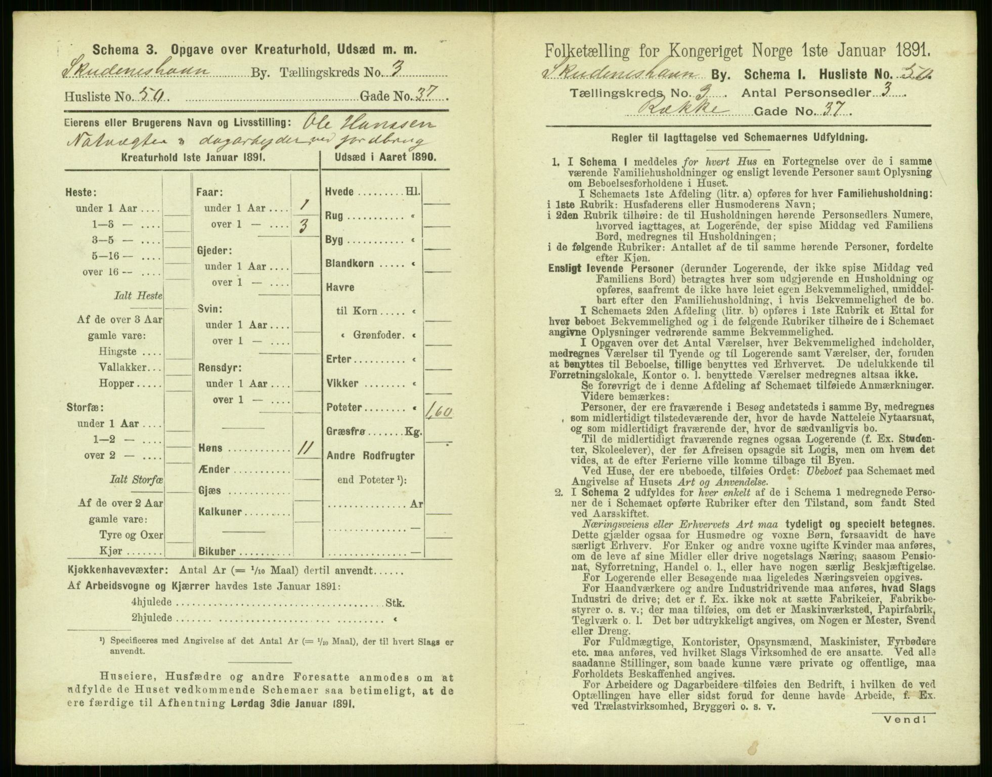 RA, 1891 census for 1104 Skudeneshavn, 1891, p. 290