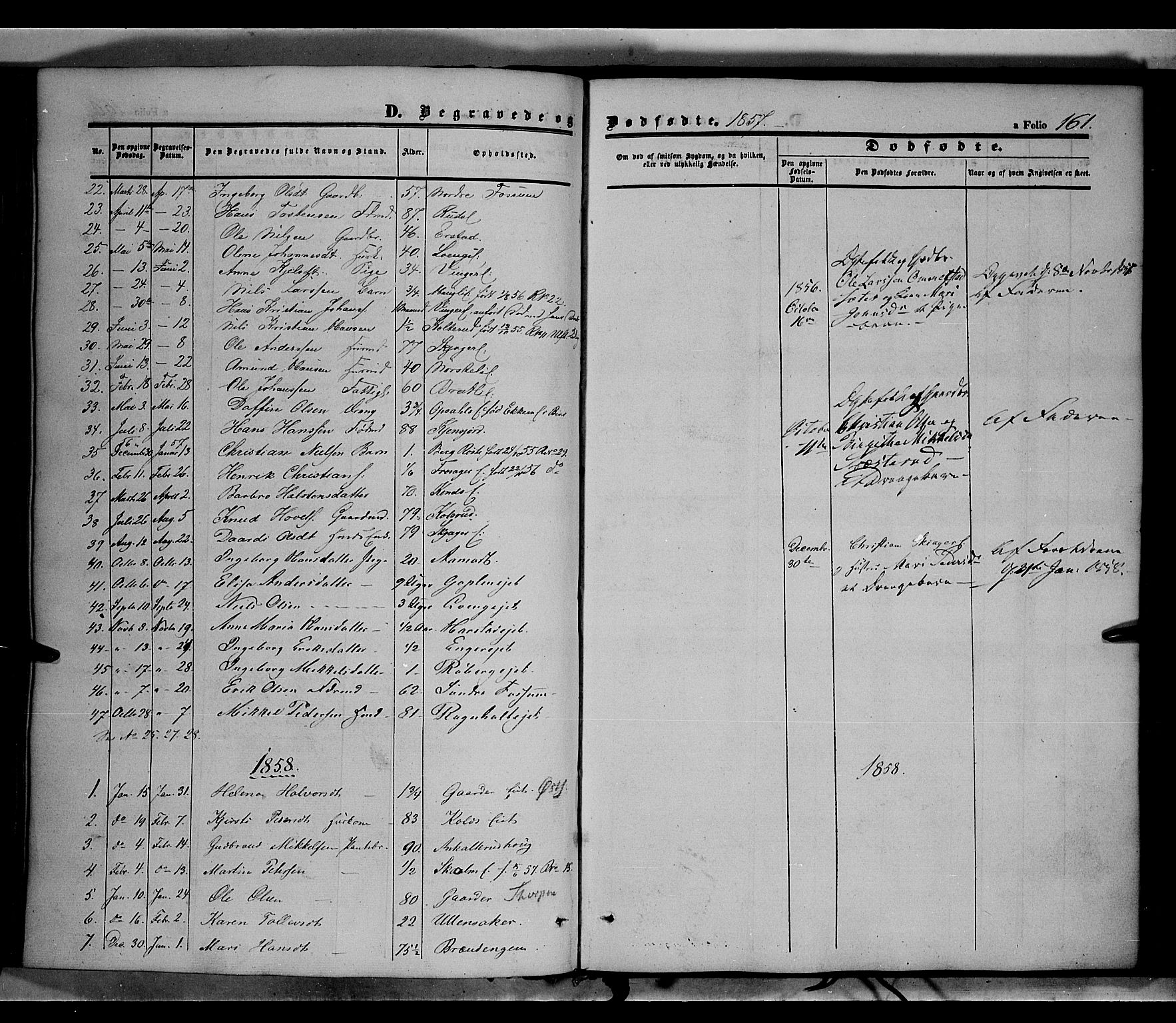 Land prestekontor, SAH/PREST-120/H/Ha/Haa/L0010: Parish register (official) no. 10, 1847-1859, p. 161
