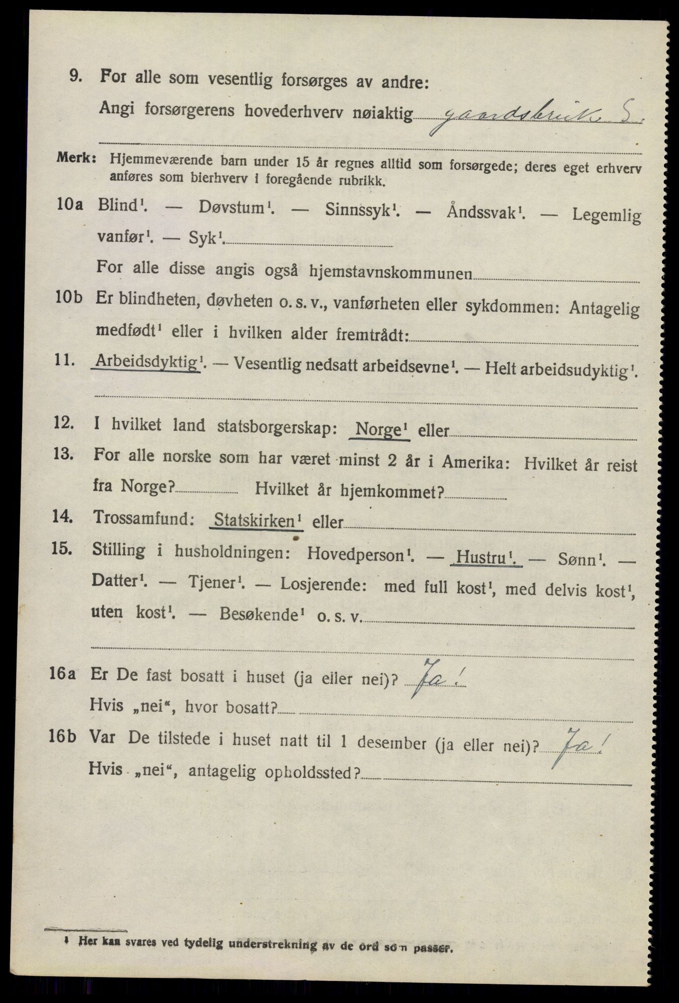 SAO, 1920 census for Nes, 1920, p. 12237