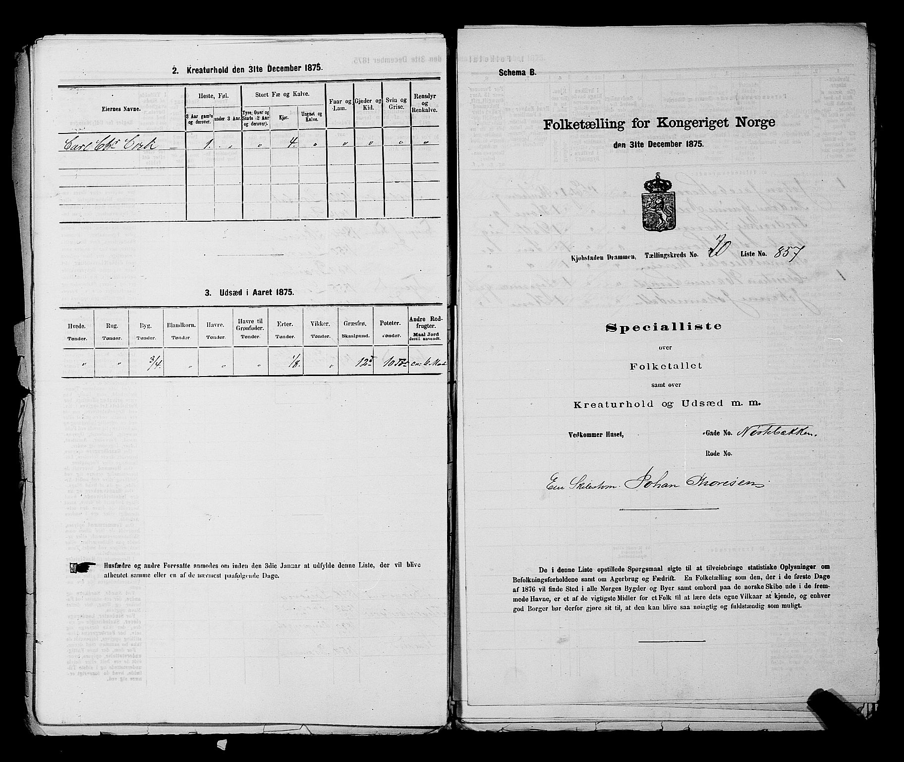 SAKO, 1875 census for 0602 Drammen, 1875, p. 2091