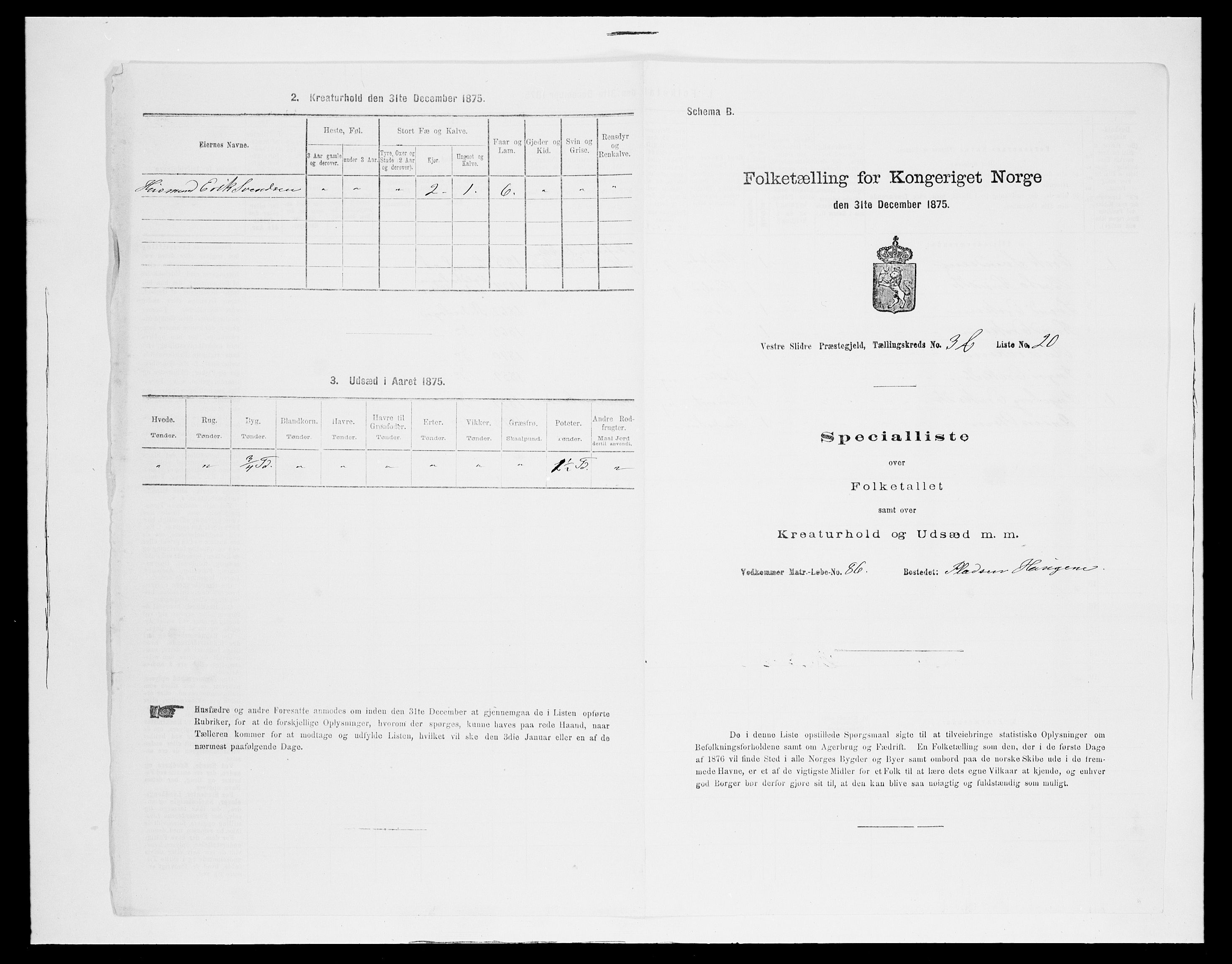 SAH, 1875 census for 0543P Vestre Slidre, 1875, p. 360