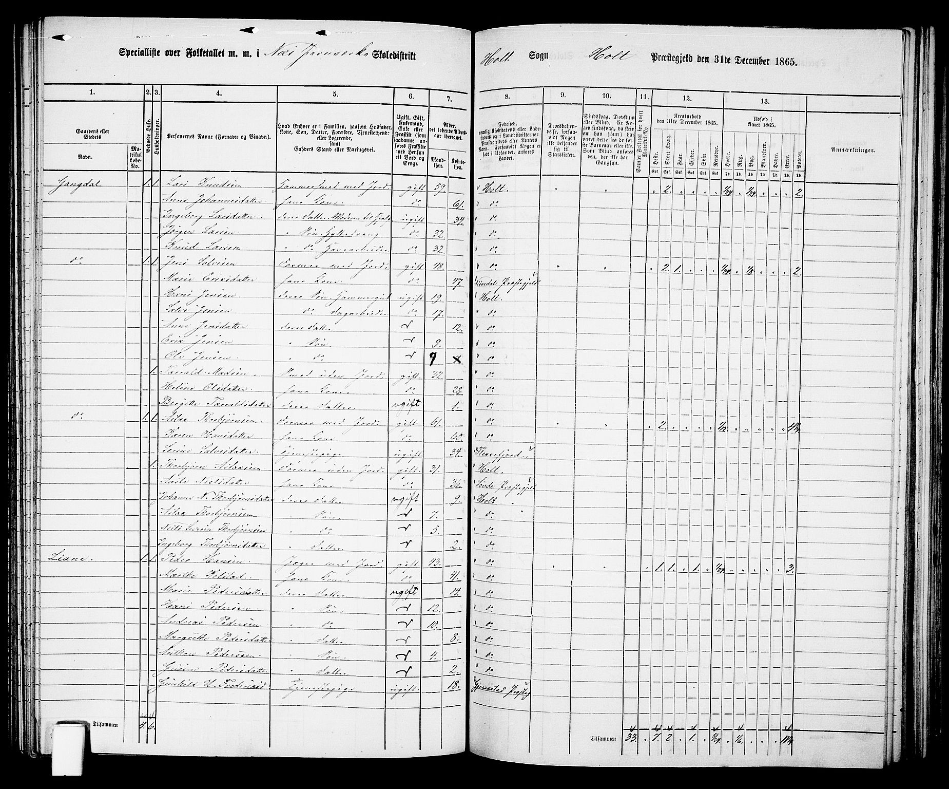 RA, 1865 census for Holt/Holt, 1865, p. 111