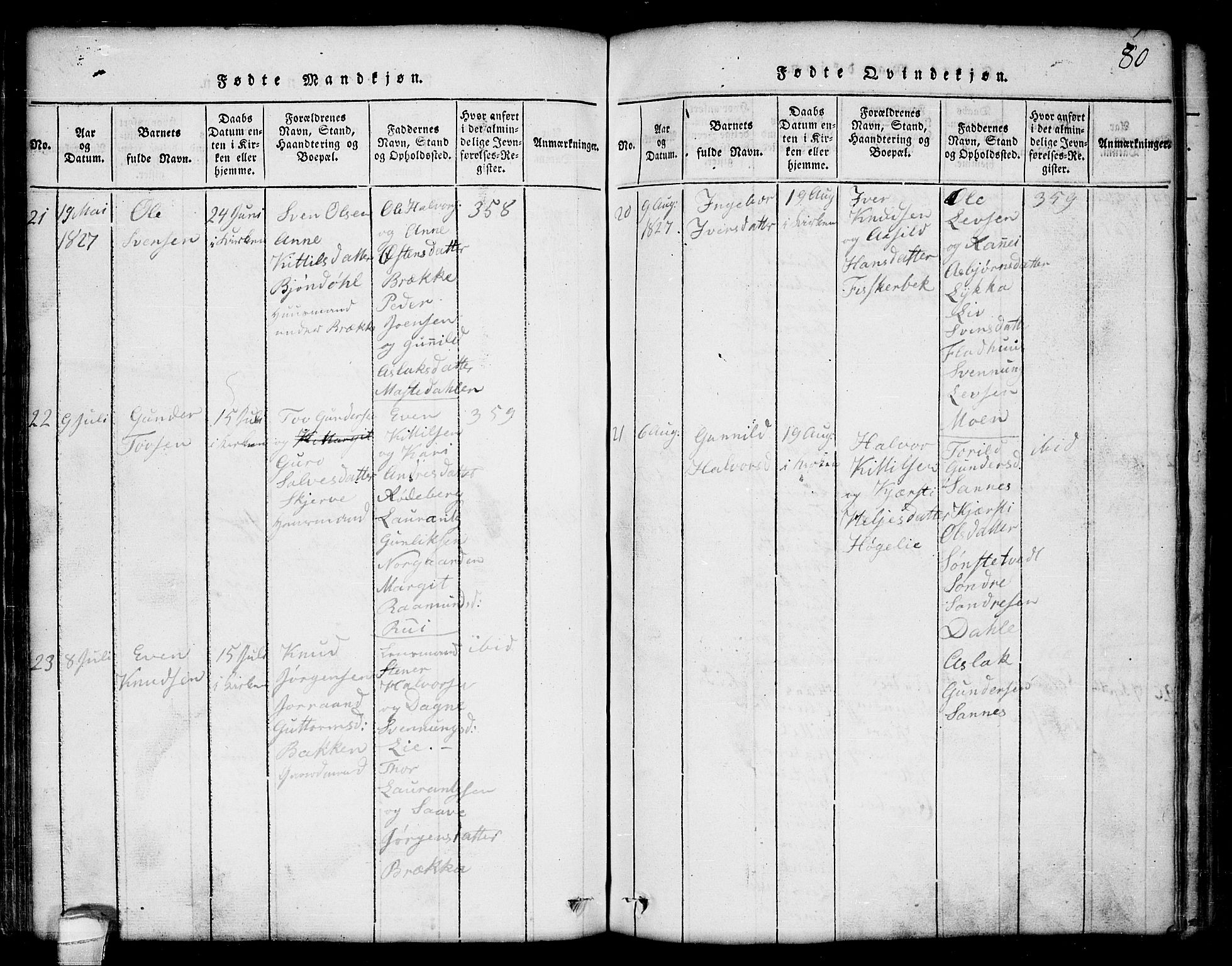 Seljord kirkebøker, AV/SAKO-A-20/G/Ga/L0001: Parish register (copy) no. I 1, 1815-1854, p. 80