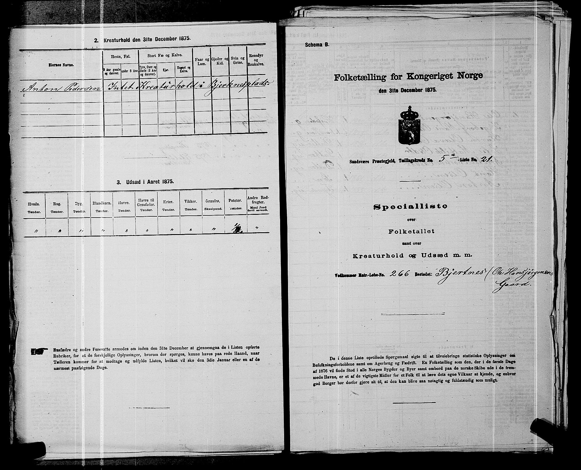 SAKO, 1875 census for 0629P Sandsvær, 1875, p. 910