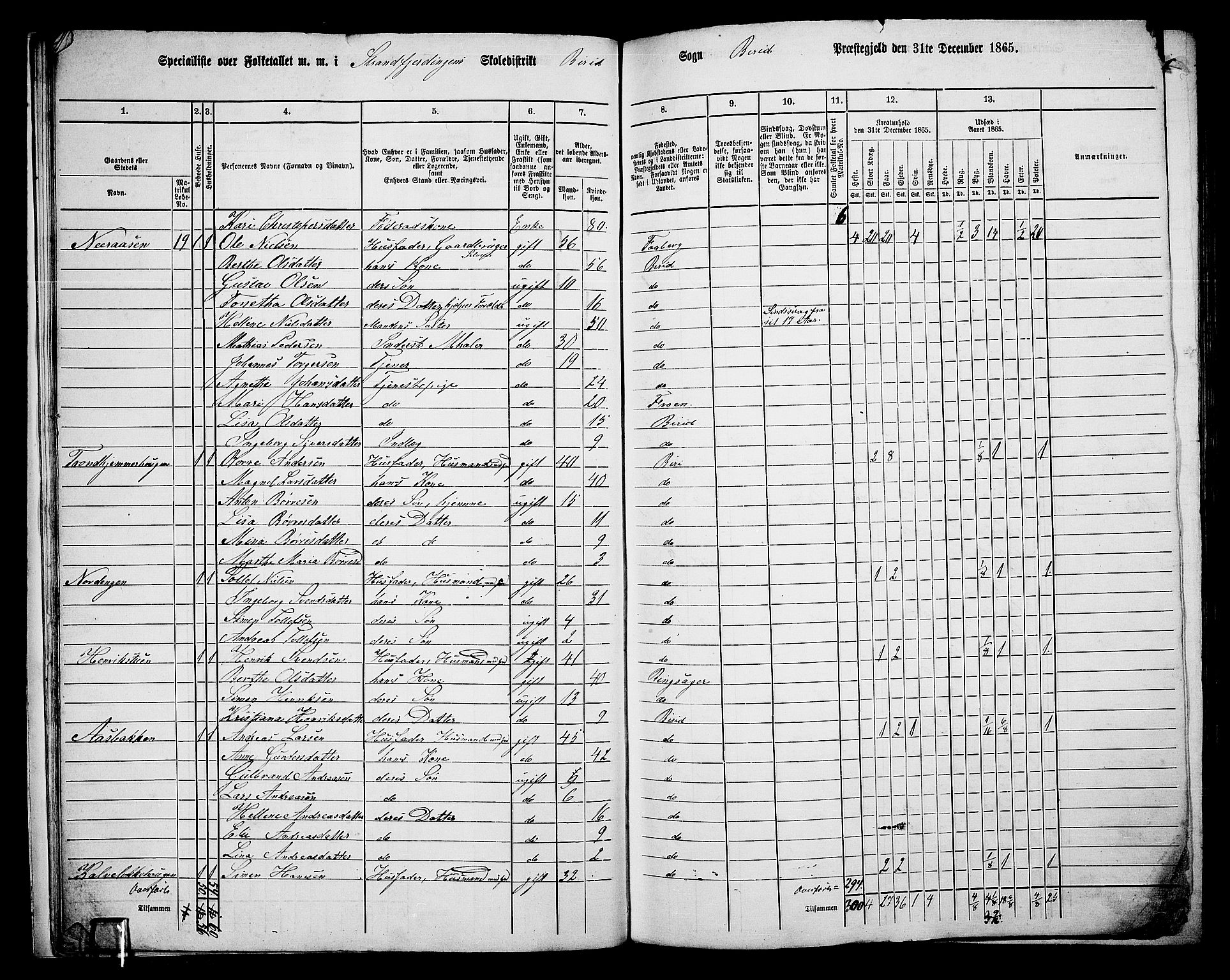 RA, 1865 census for Biri, 1865, p. 21