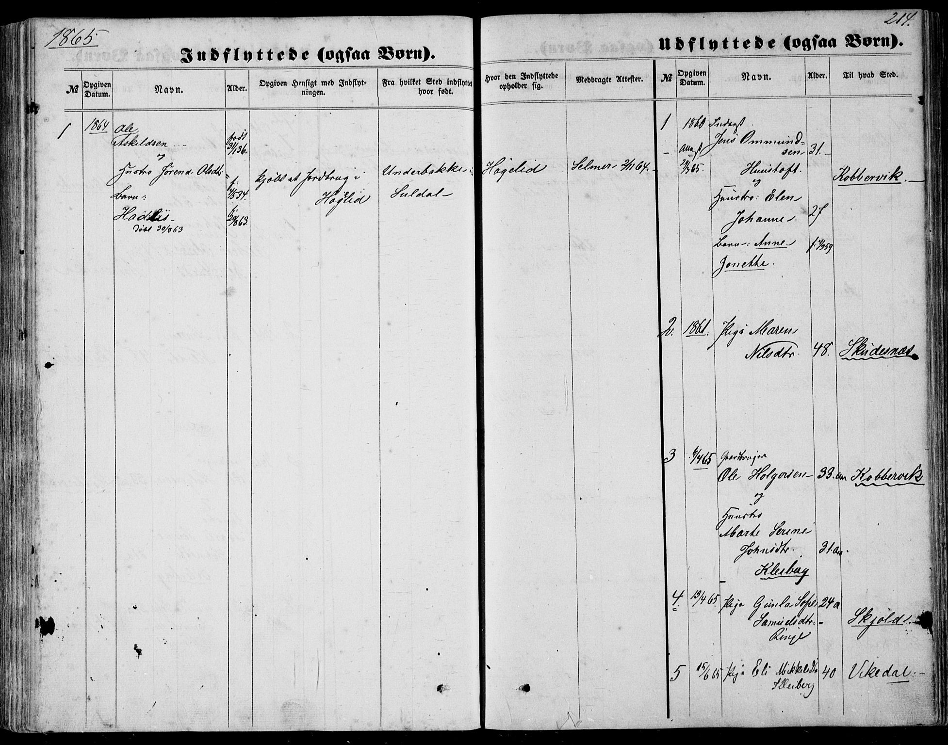 Nedstrand sokneprestkontor, SAST/A-101841/01/IV: Parish register (official) no. A 9, 1861-1876, p. 214