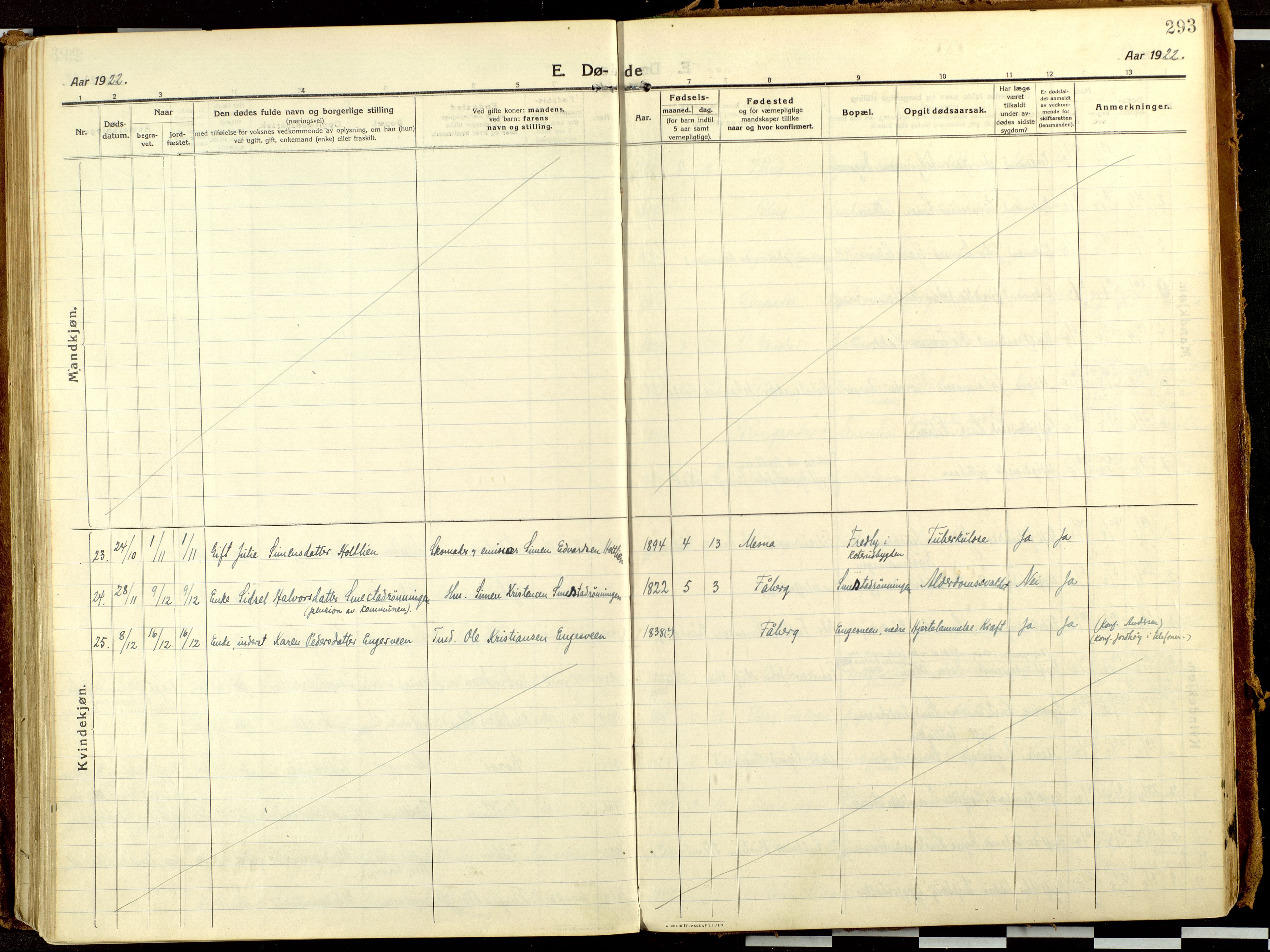 Fåberg prestekontor, AV/SAH-PREST-086/H/Ha/Haa/L0013: Parish register (official) no. 13, 1913-1928, p. 293