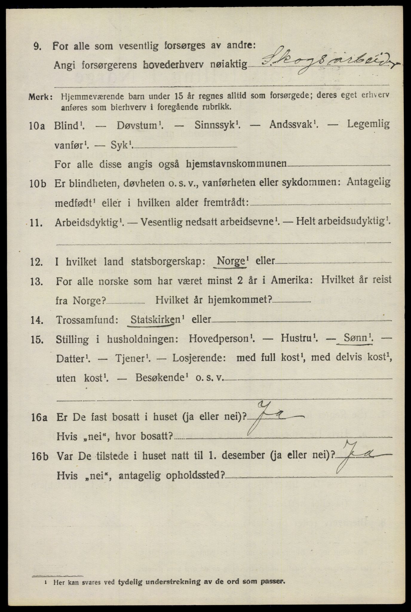 SAO, 1920 census for Nes, 1920, p. 6601