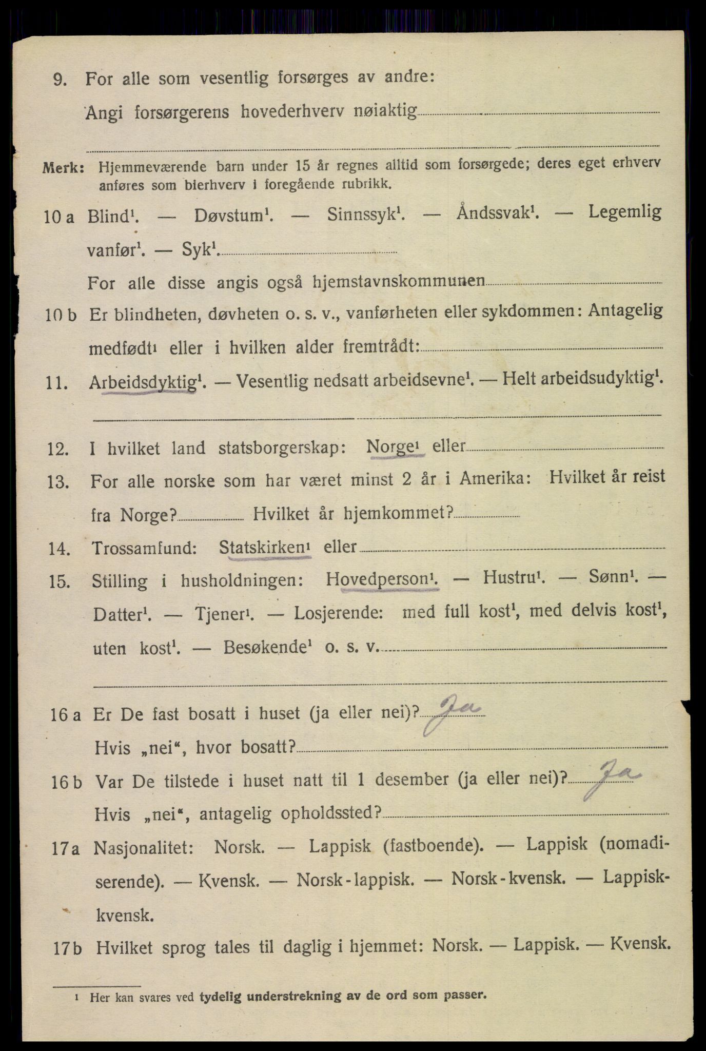 SAT, 1920 census for Bø, 1920, p. 6037