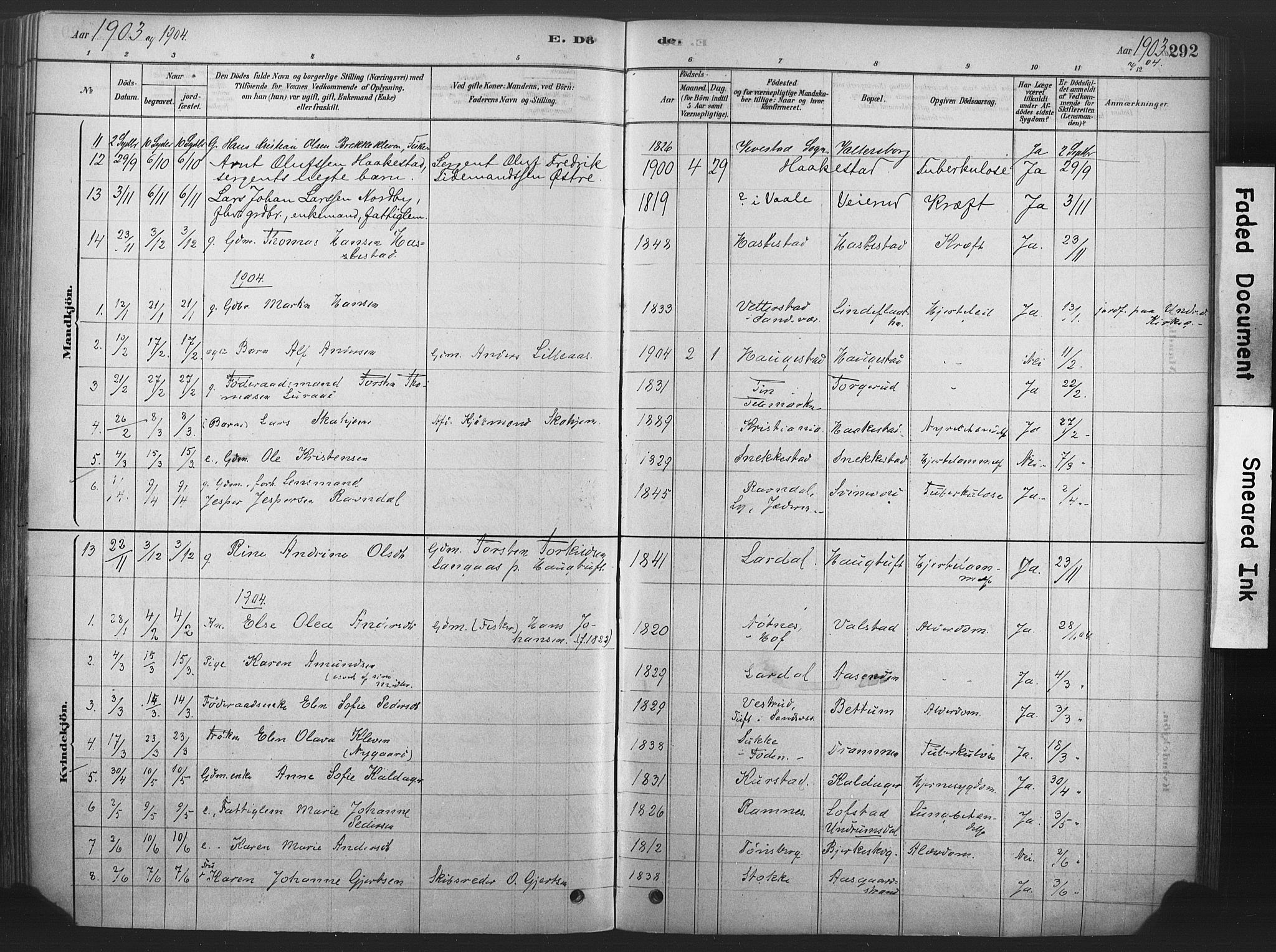 Våle kirkebøker, SAKO/A-334/F/Fa/L0011: Parish register (official) no. I 11, 1878-1906, p. 292