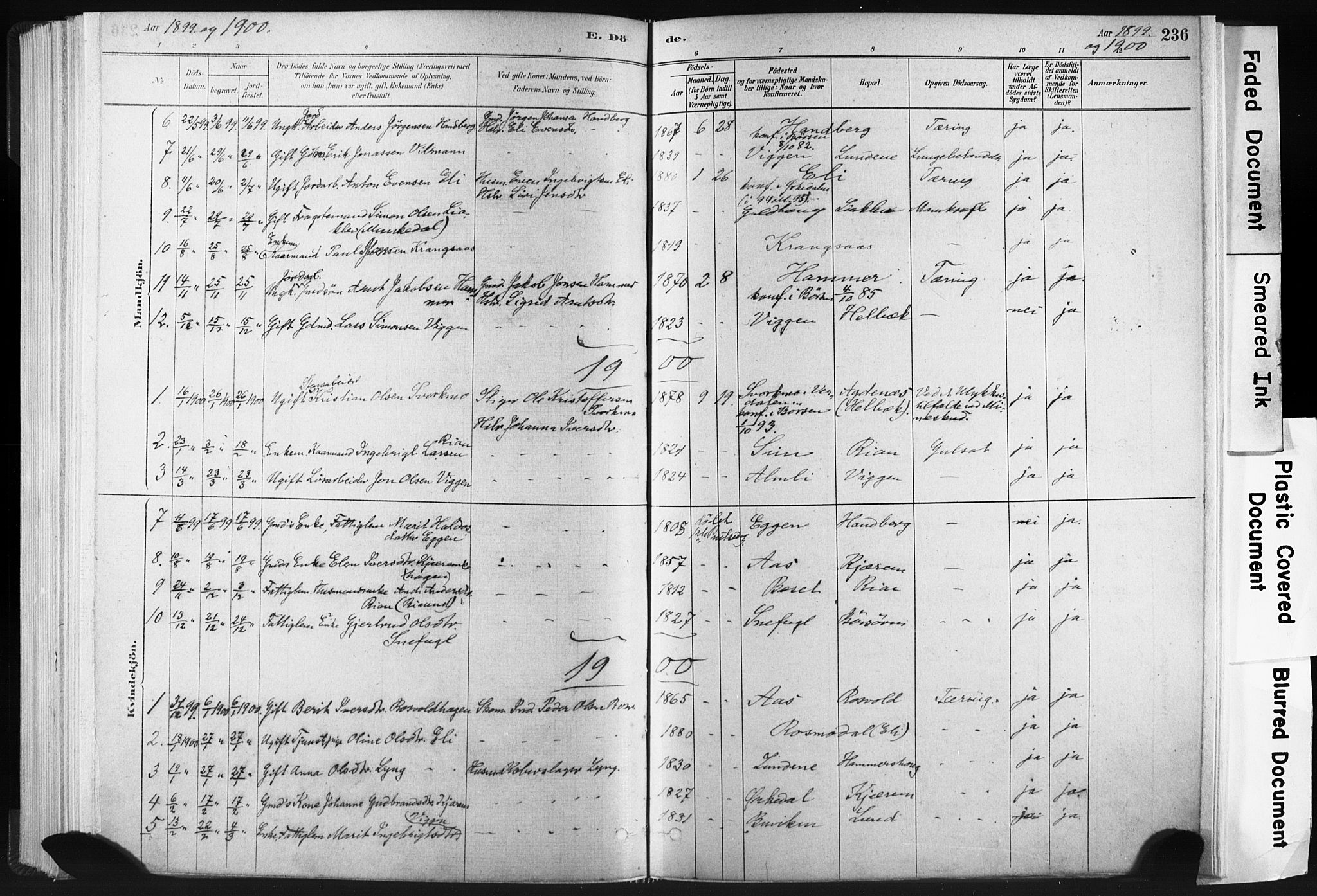 Ministerialprotokoller, klokkerbøker og fødselsregistre - Sør-Trøndelag, SAT/A-1456/665/L0773: Parish register (official) no. 665A08, 1879-1905, p. 236