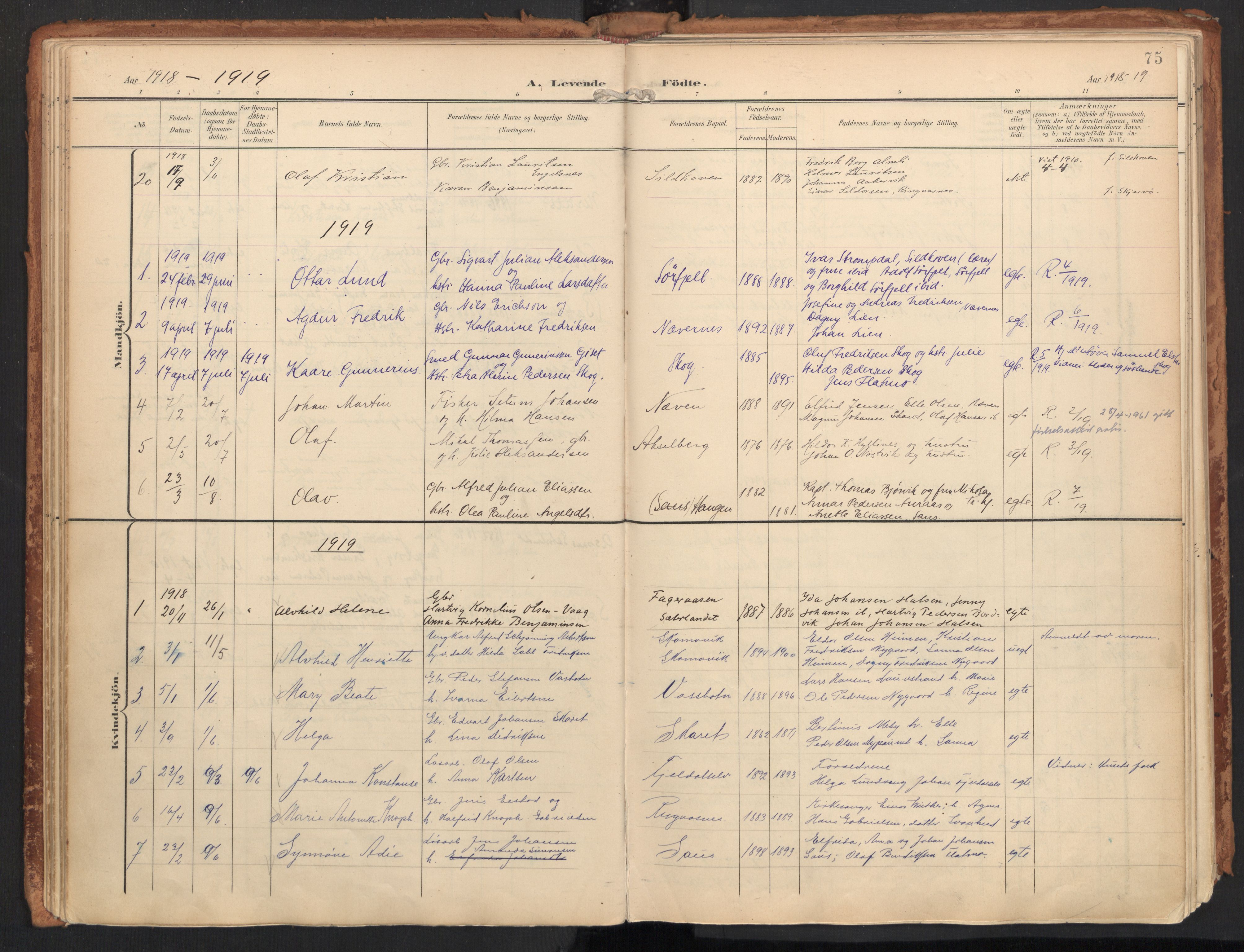 Ministerialprotokoller, klokkerbøker og fødselsregistre - Nordland, SAT/A-1459/814/L0227: Parish register (official) no. 814A08, 1899-1920, p. 75