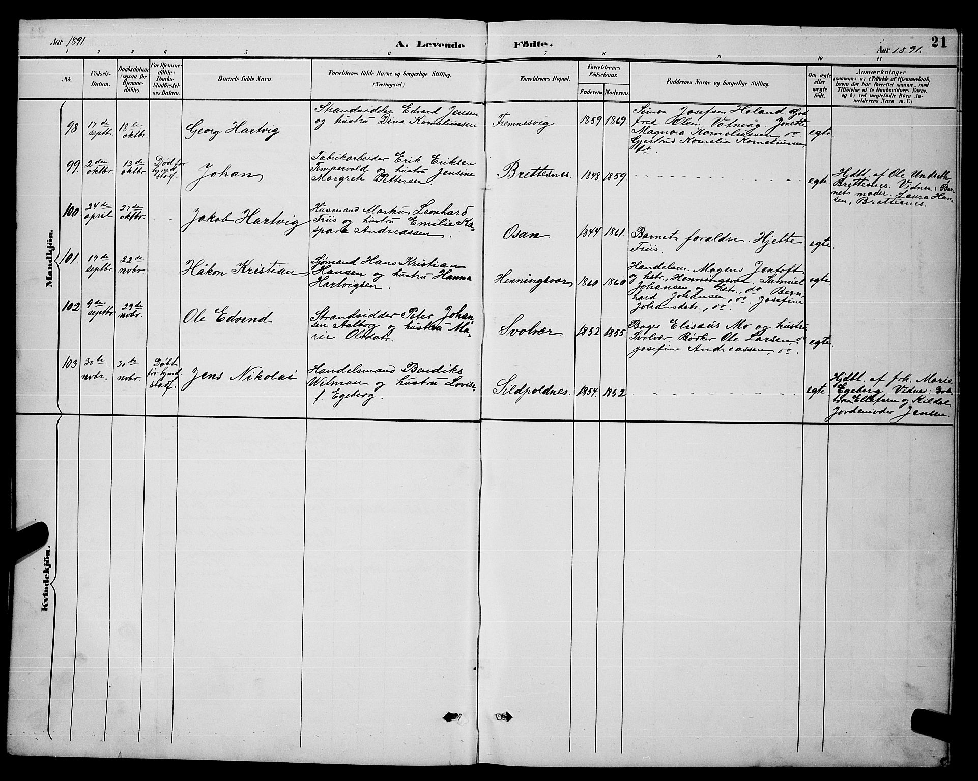 Ministerialprotokoller, klokkerbøker og fødselsregistre - Nordland, AV/SAT-A-1459/874/L1077: Parish register (copy) no. 874C06, 1891-1900, p. 21