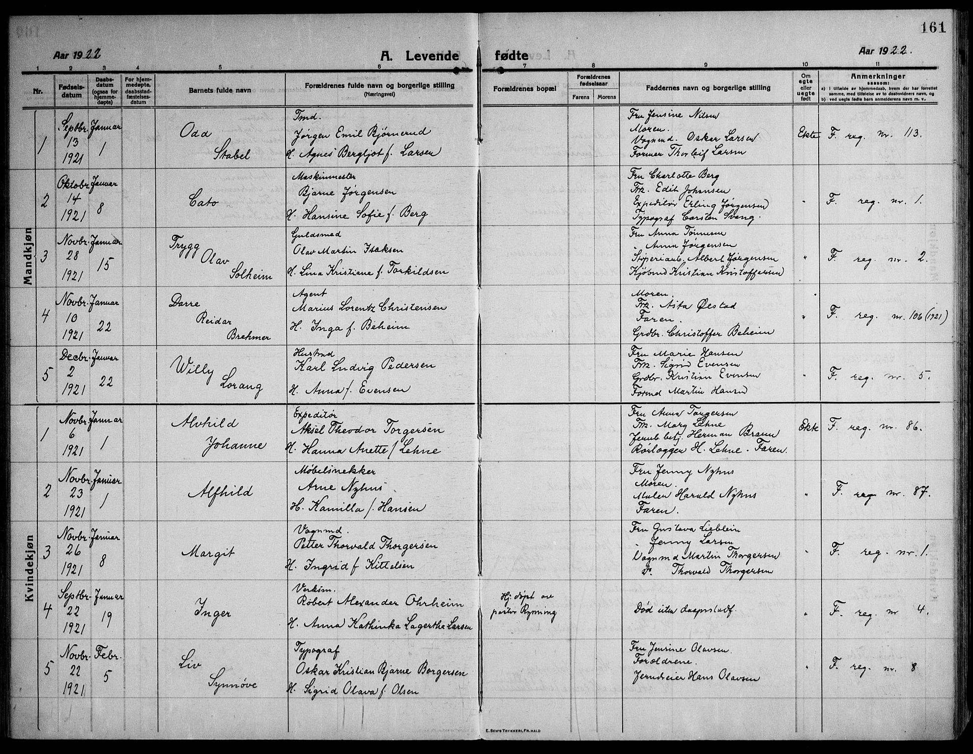 Strømsø kirkebøker, AV/SAKO-A-246/F/Fa/L0029: Parish register (official) no. I 27, 1915-1930, p. 161