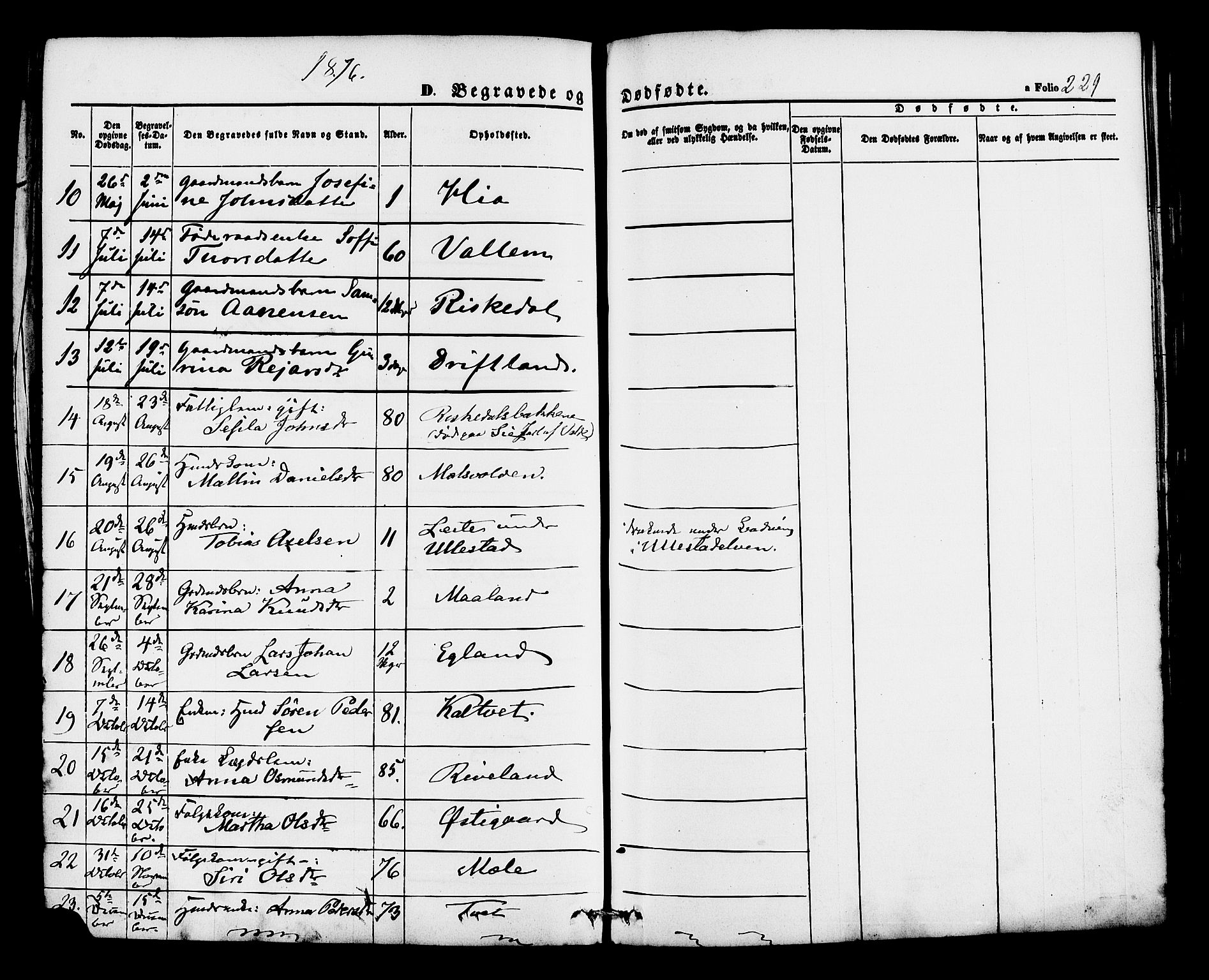 Hjelmeland sokneprestkontor, AV/SAST-A-101843/01/IV/L0012: Parish register (official) no. A 12, 1862-1886, p. 229